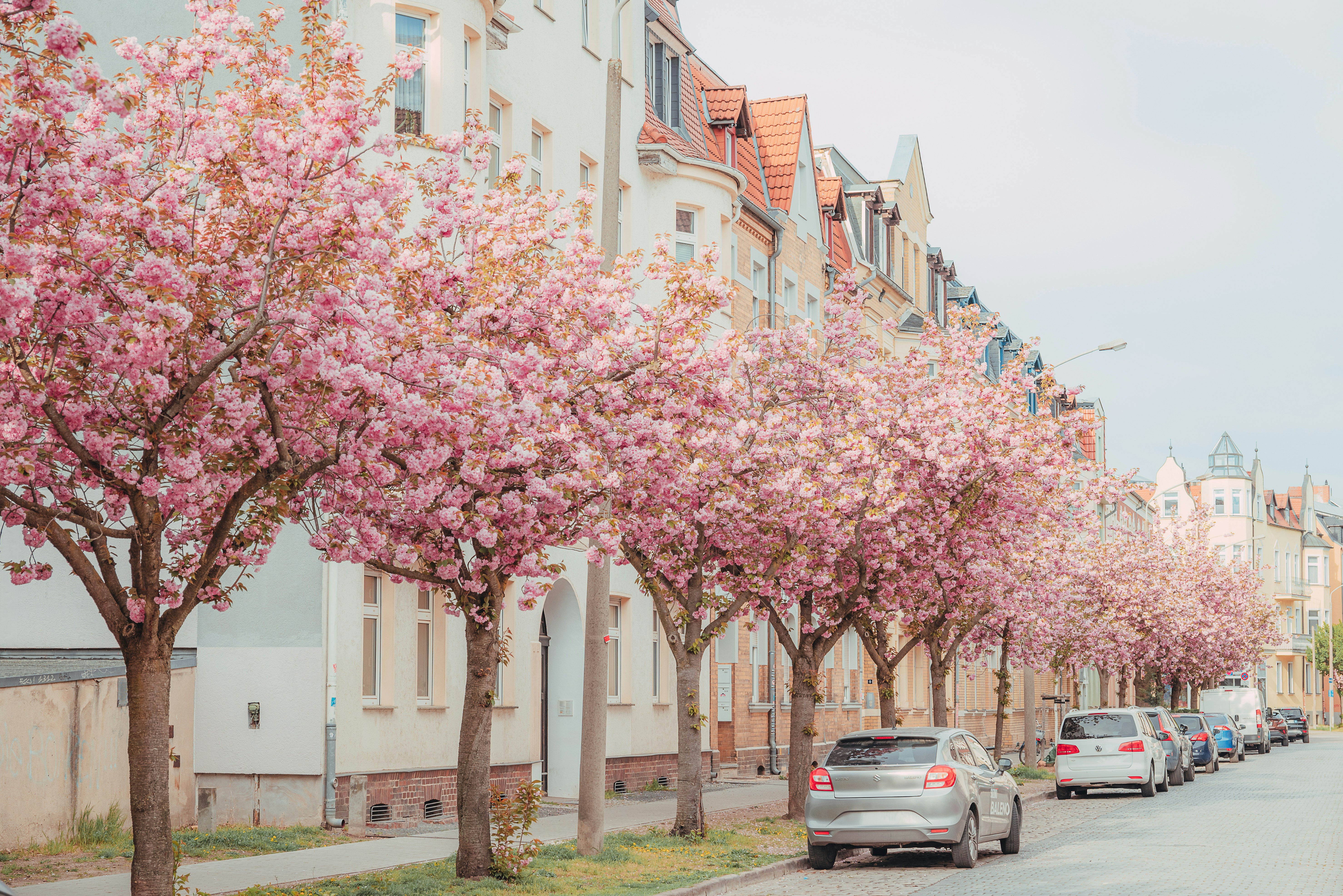 Photo by jetztabertempo