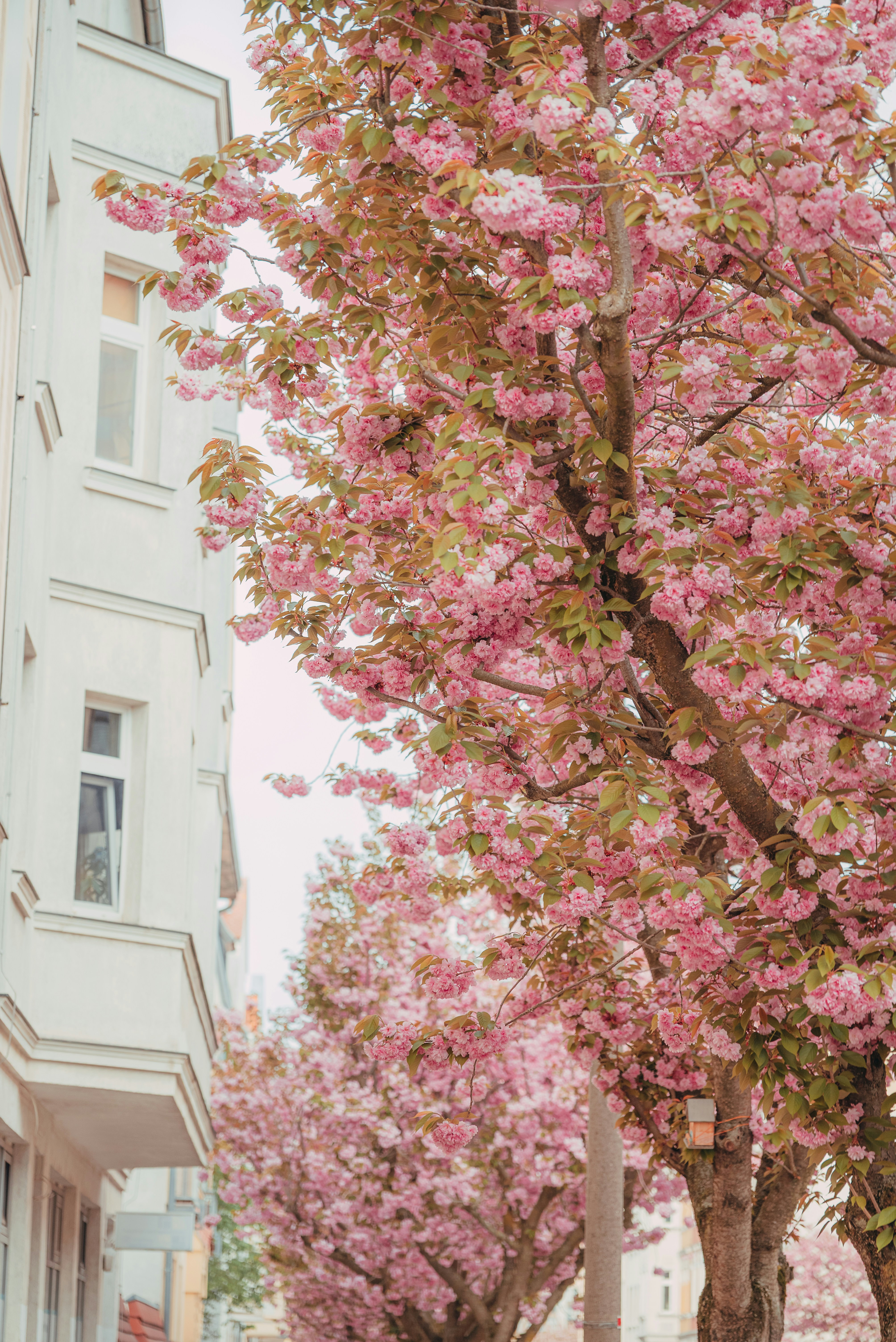 Photo by jetztabertempo