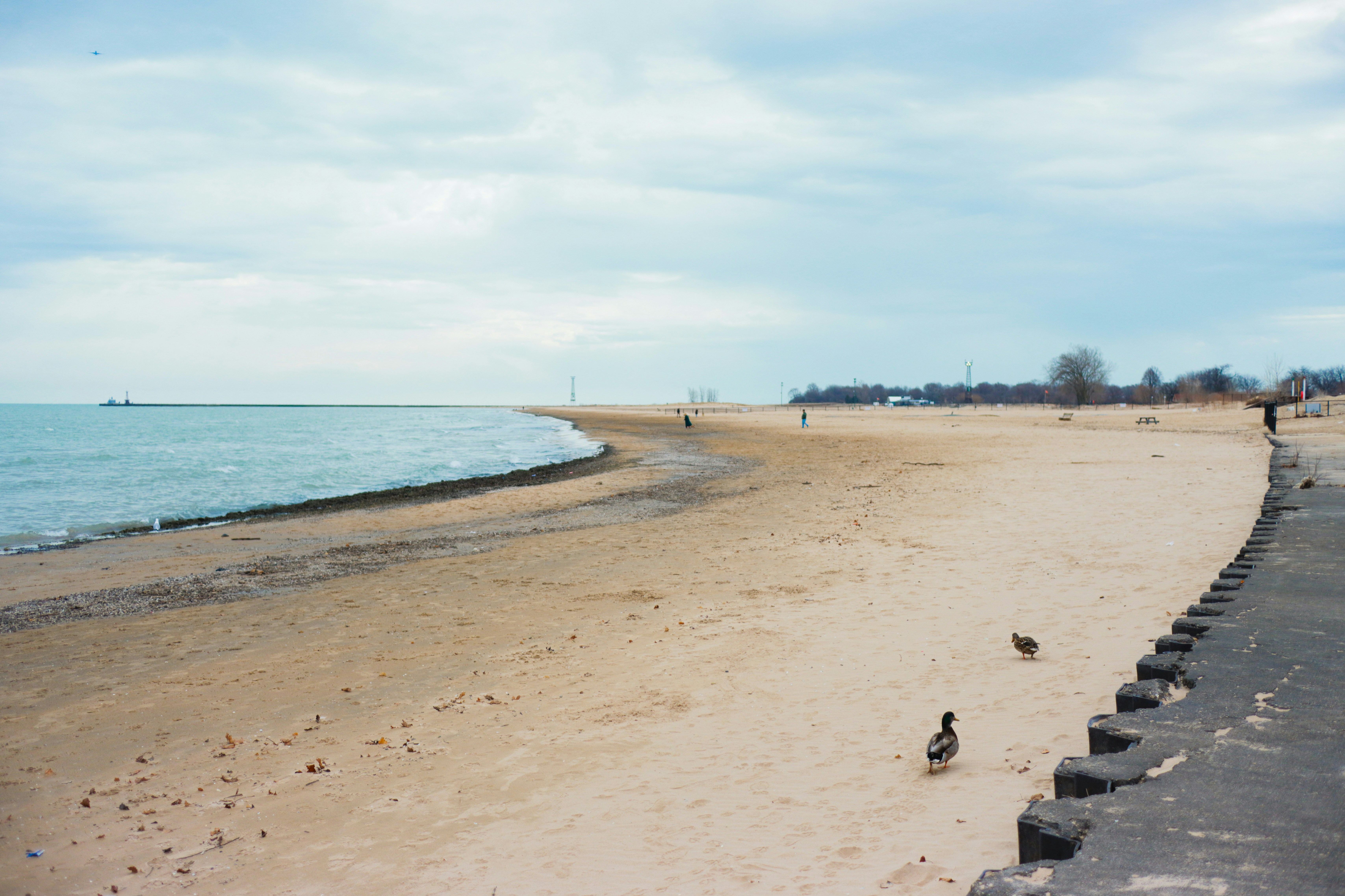 Montrose Beach Chicago