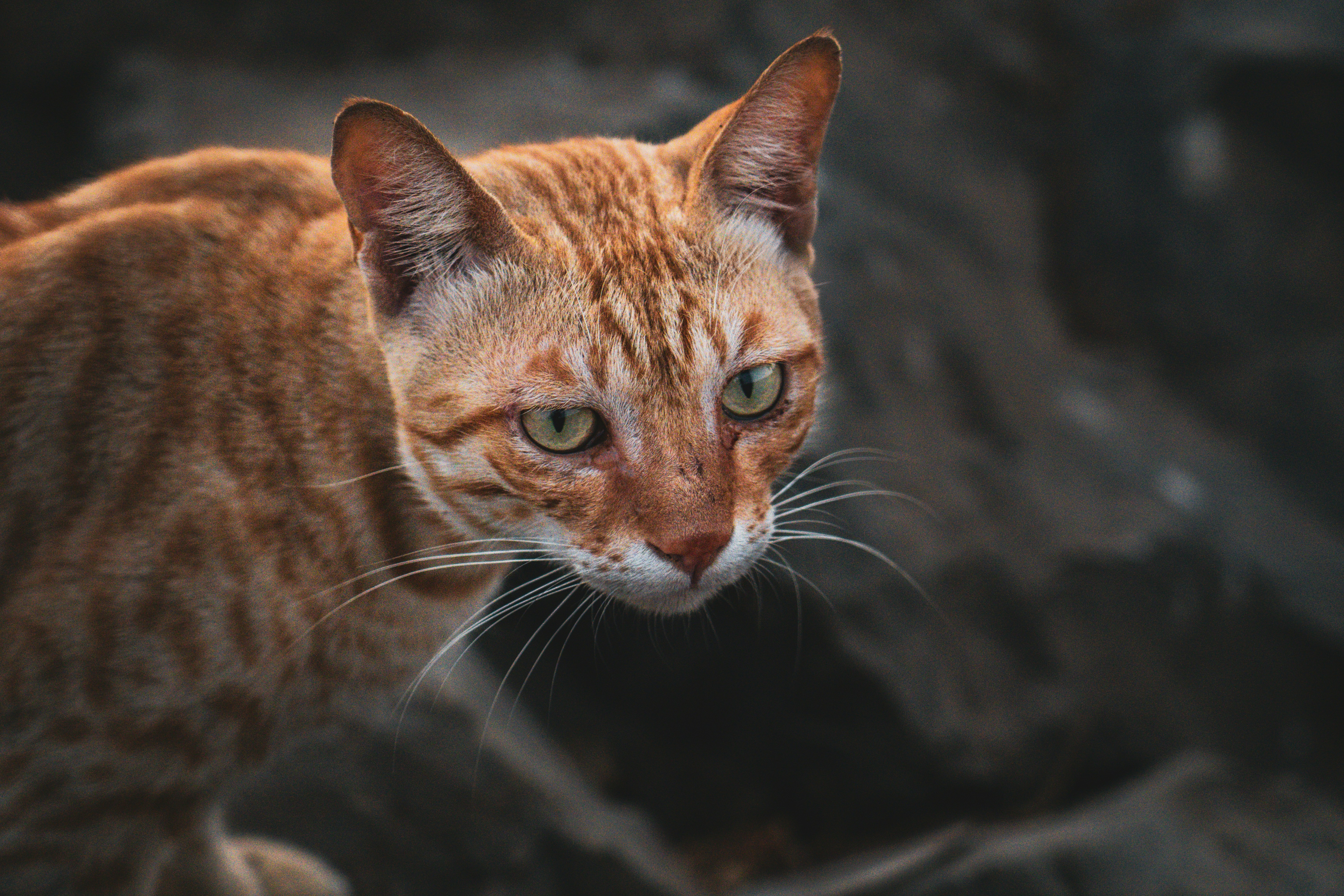 Photo by pixel_guy97