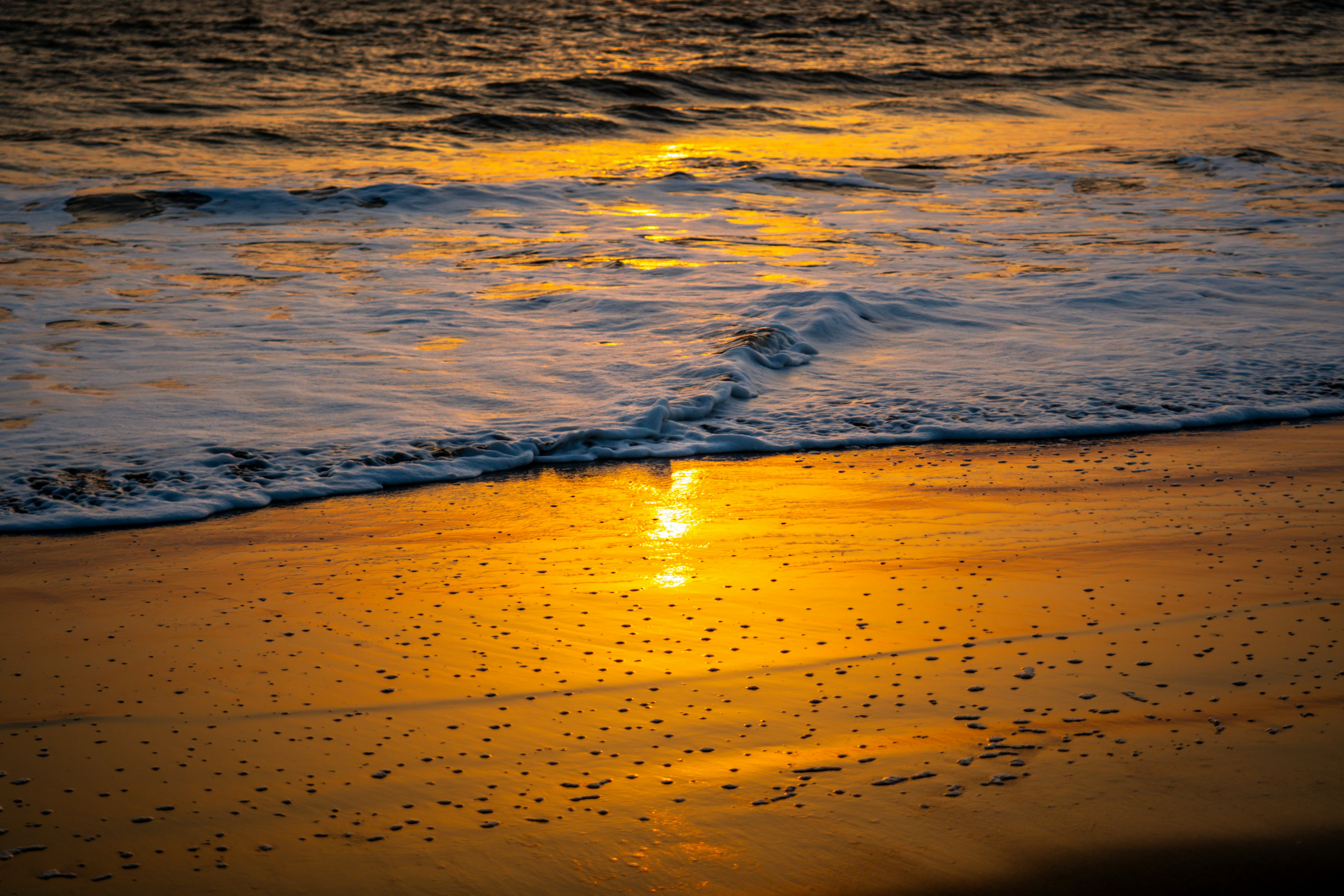 Photo by pixel_guy97