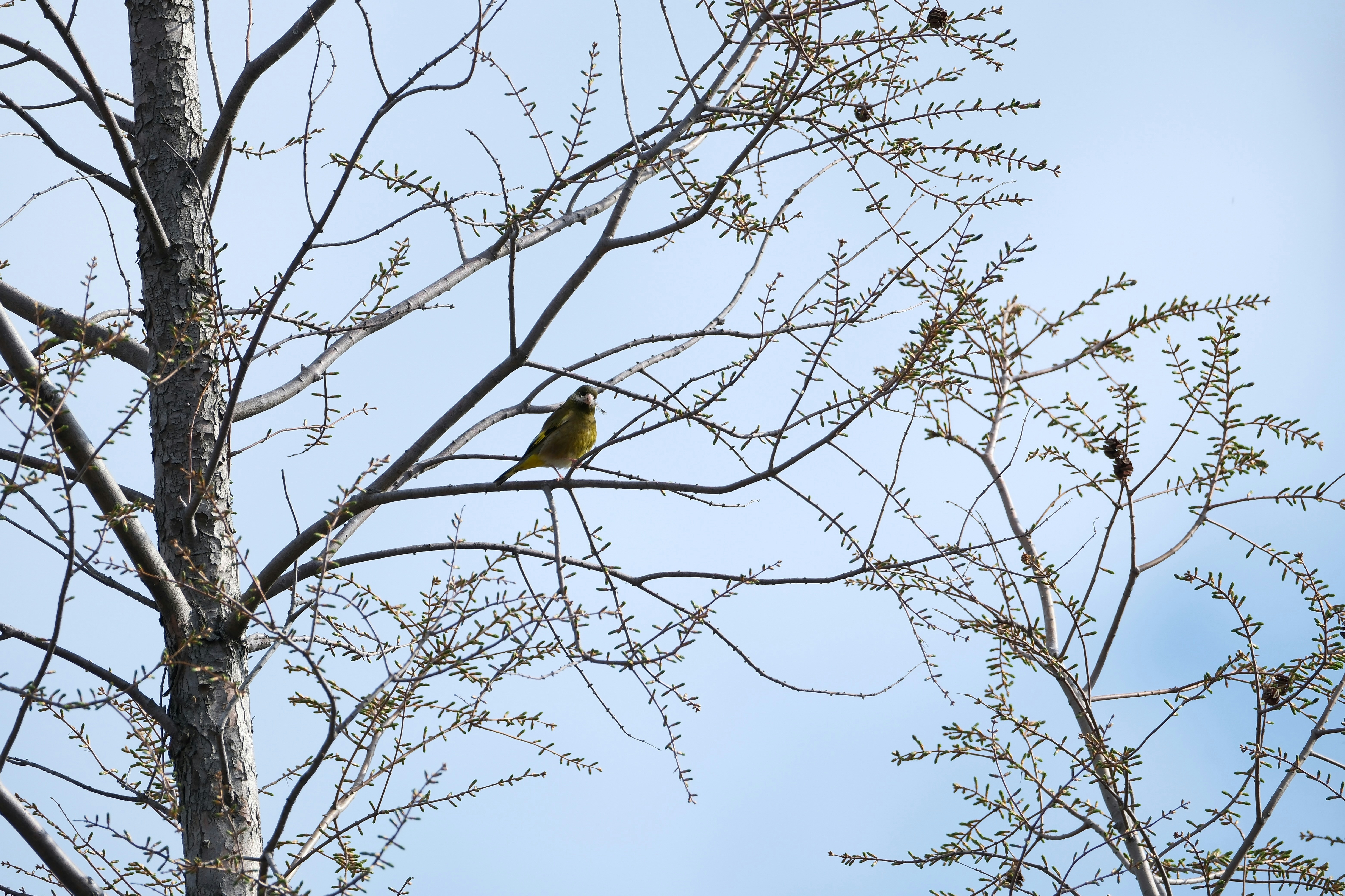 Photo by seiya_maeda