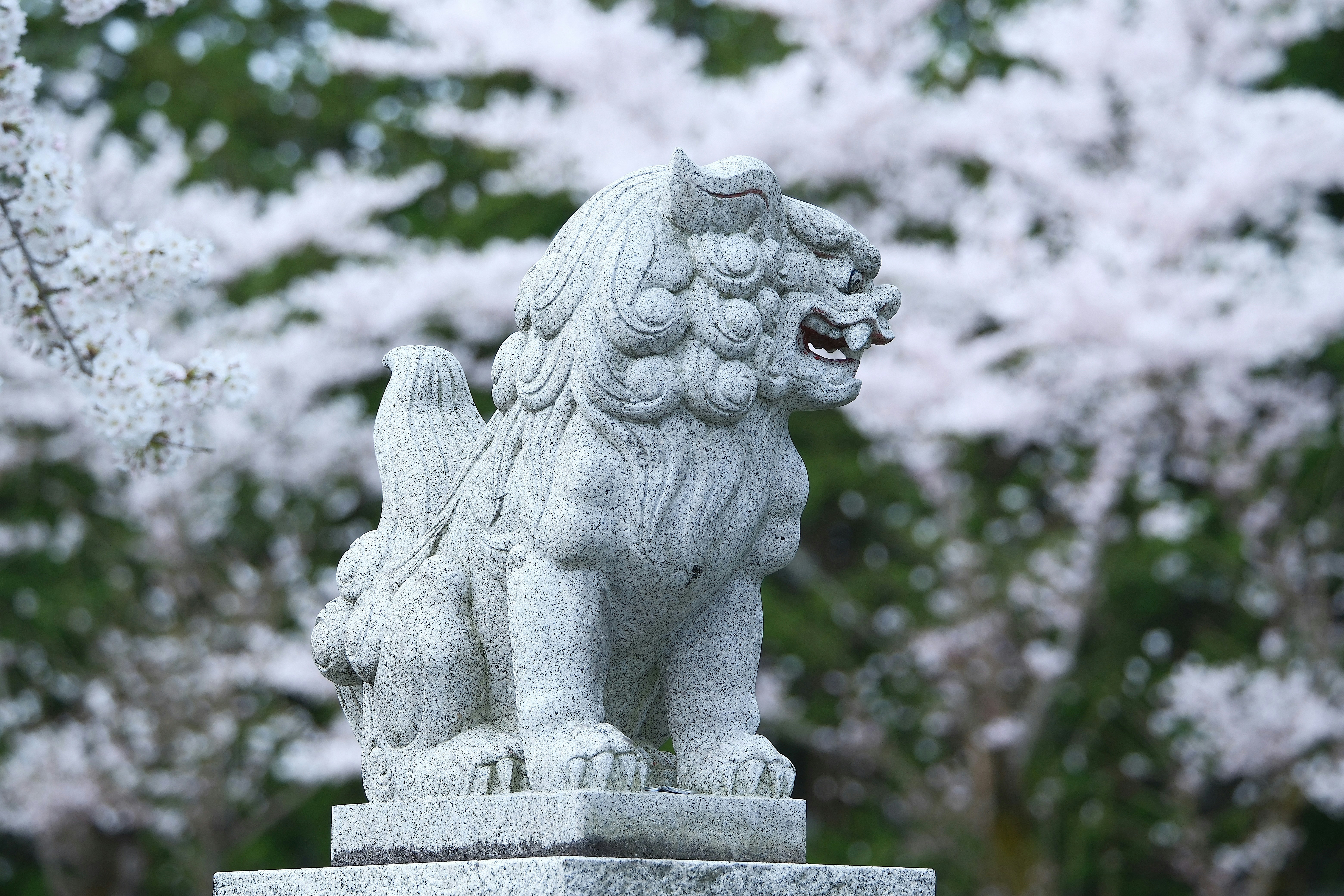 Photo by seiya_maeda