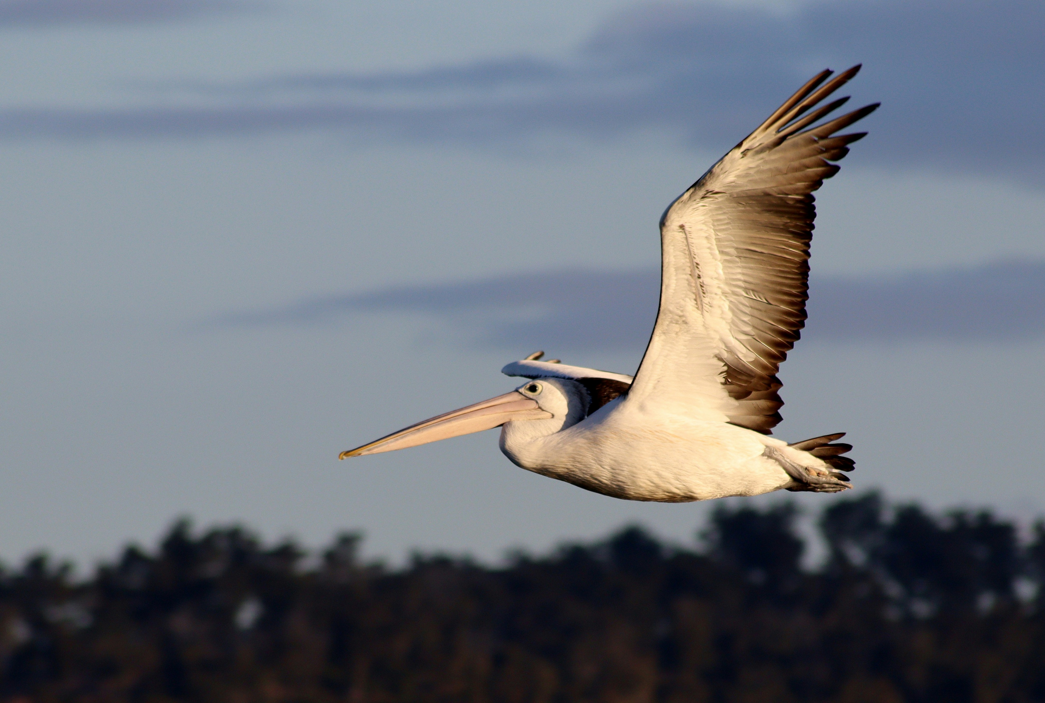 Photo by craigmanners_com