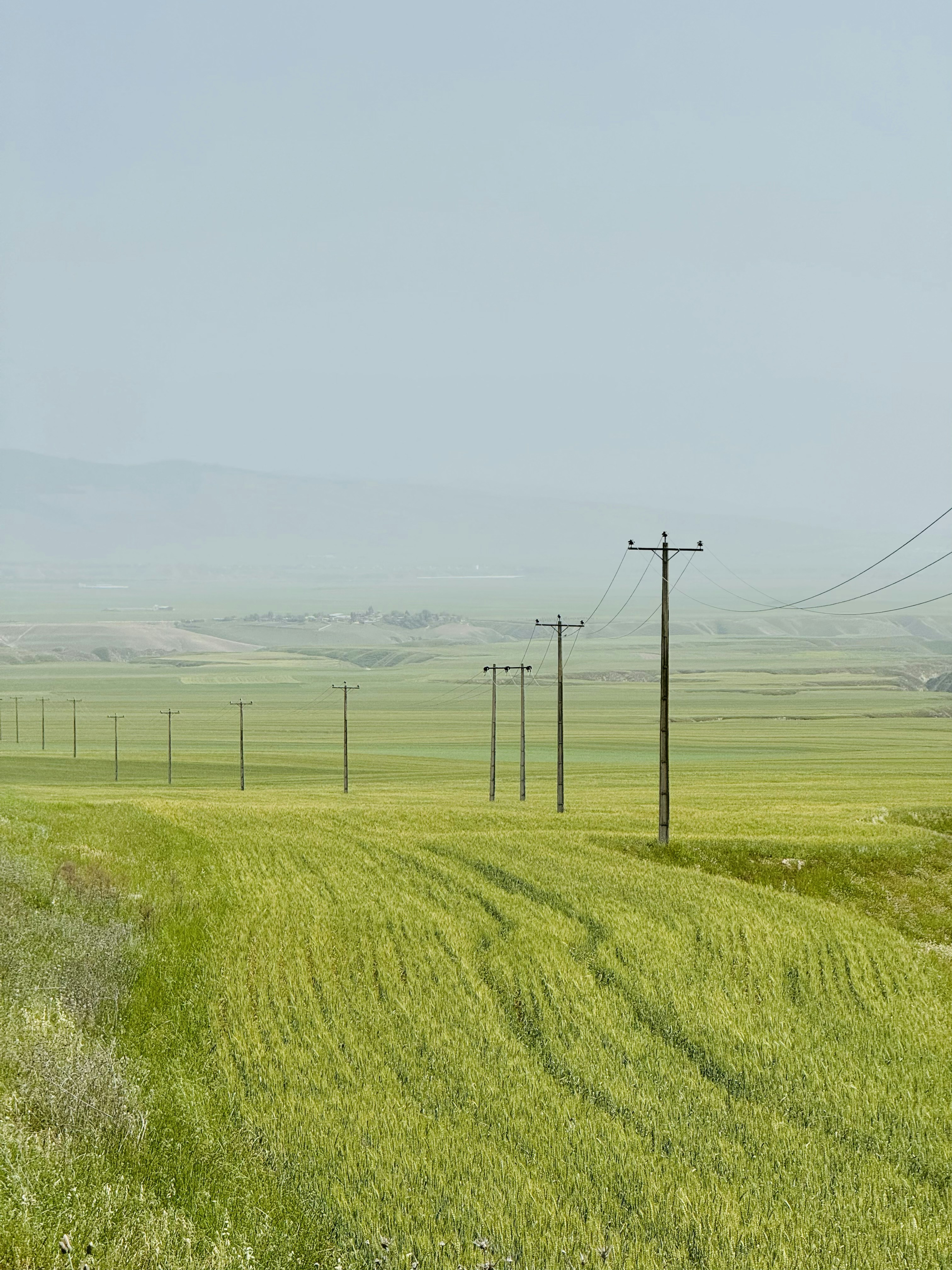 Photo by meataltitude