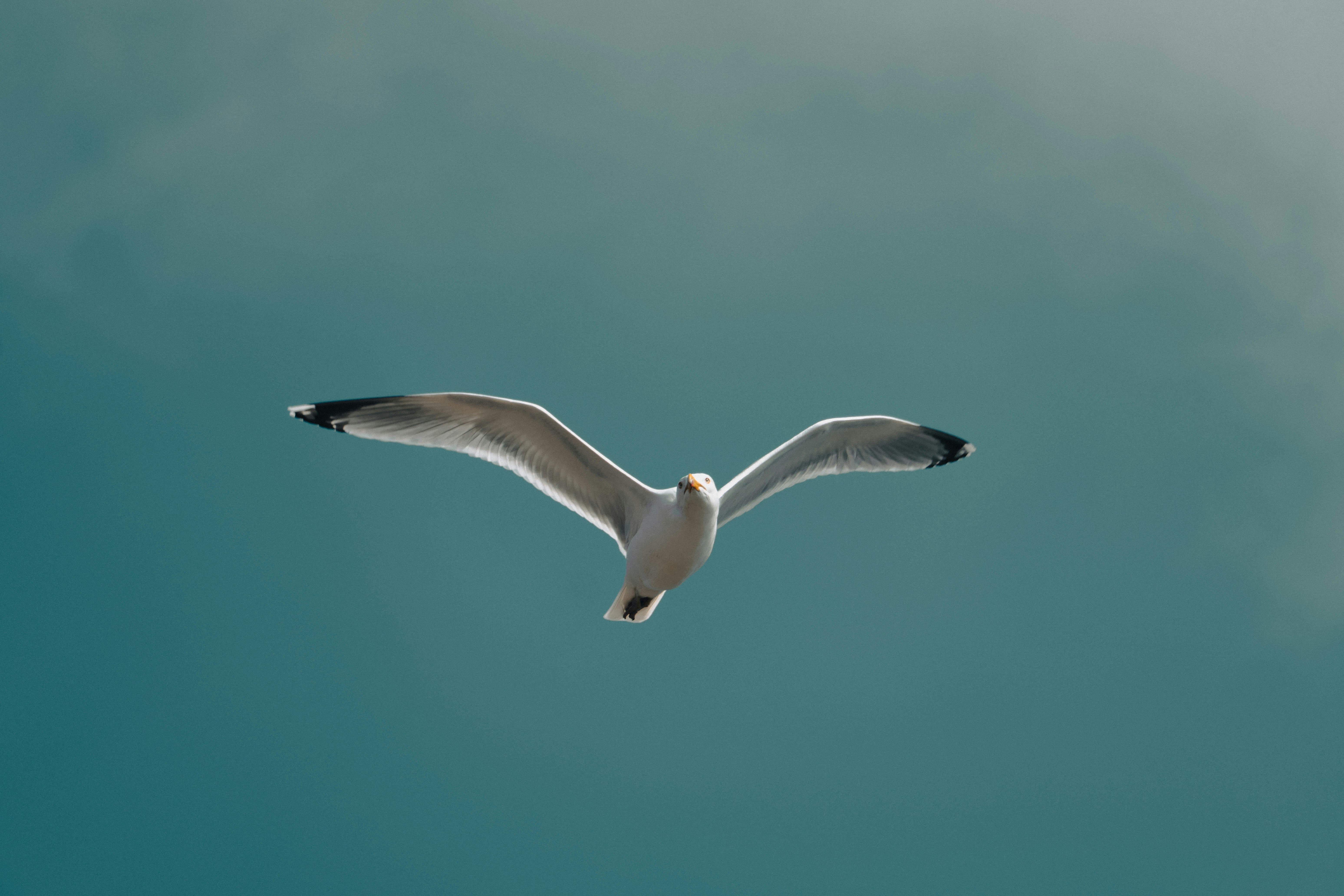 Photo by jan_ledermann