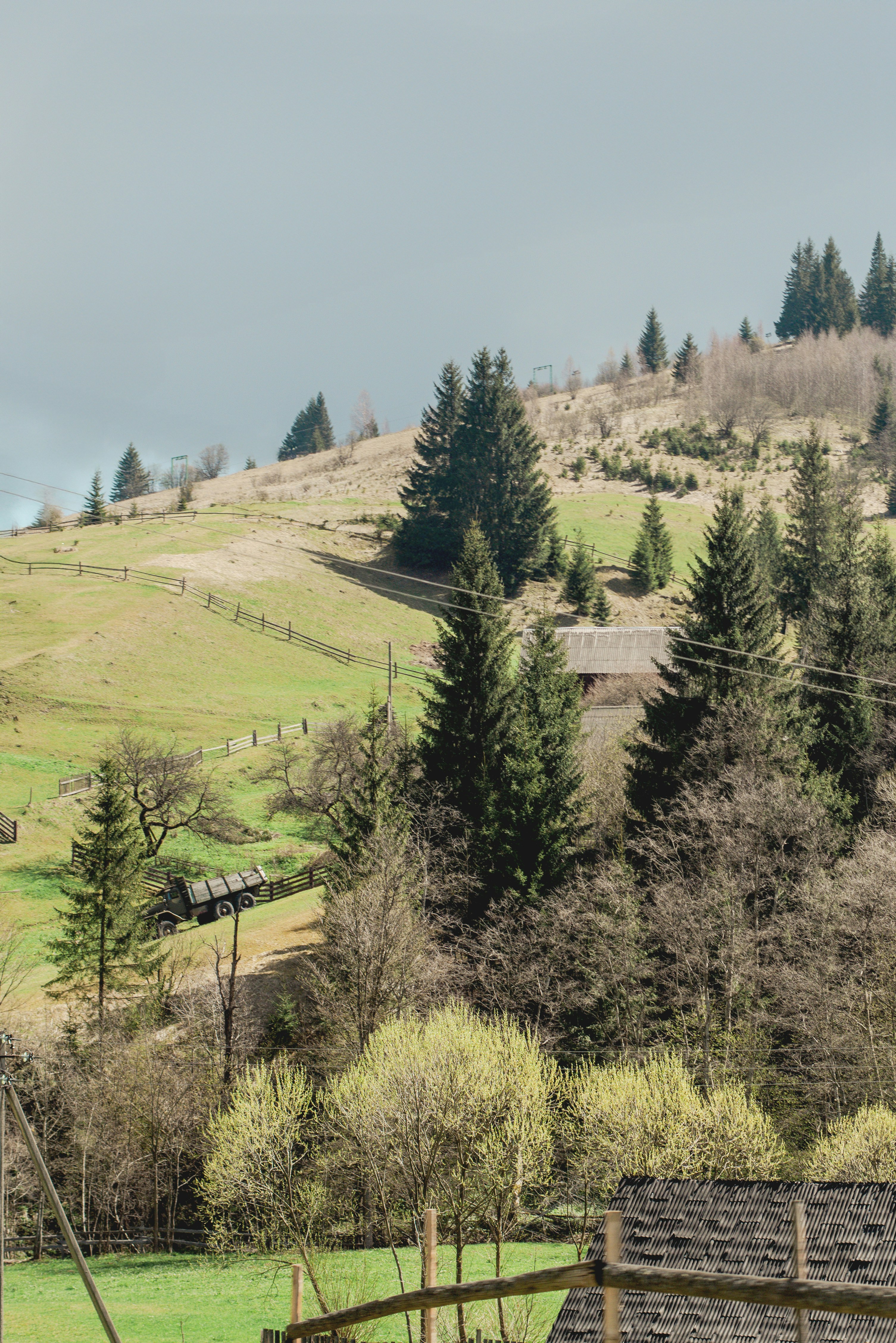 Photo by eugenivy_now