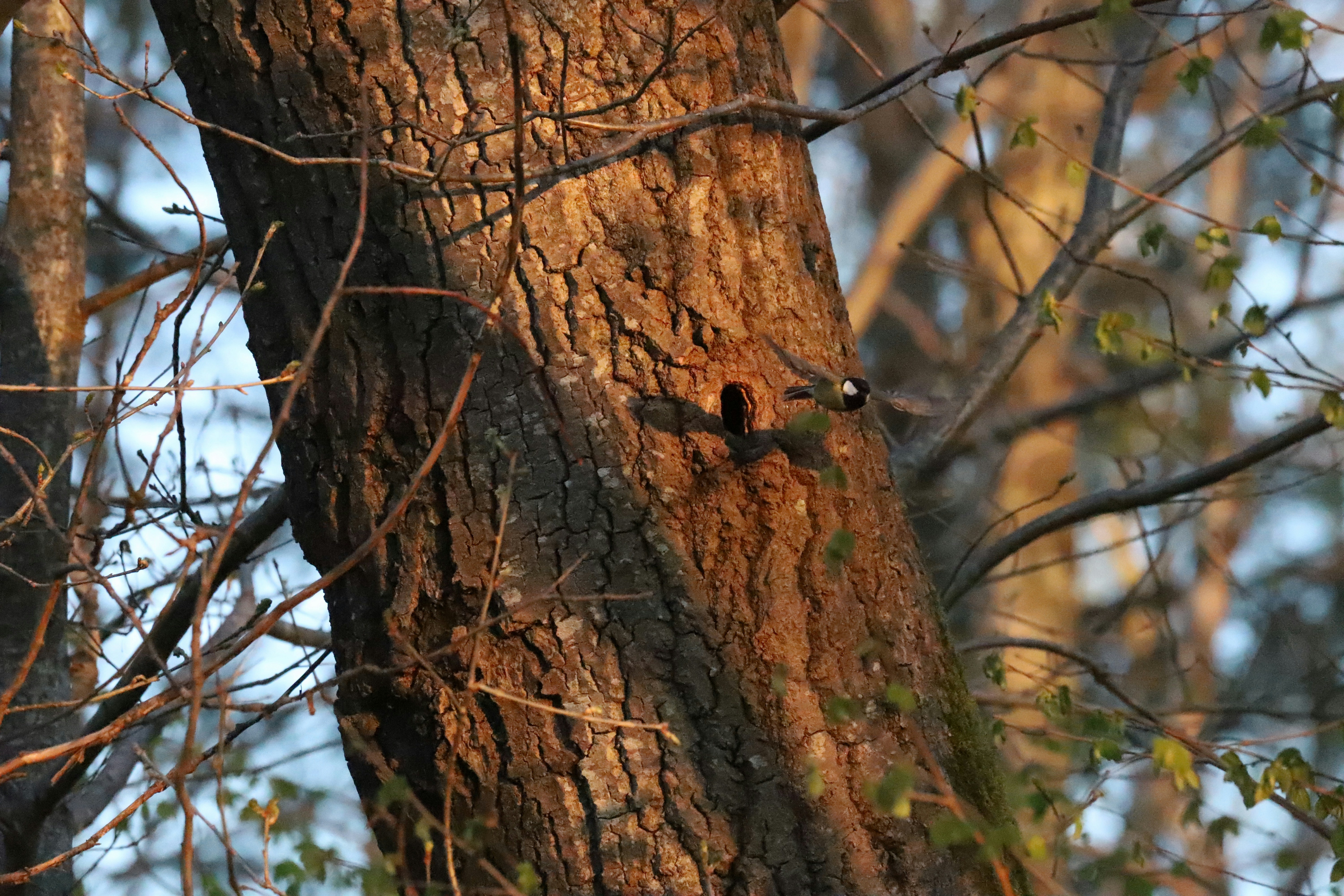 MBTI 관련 이미지 2