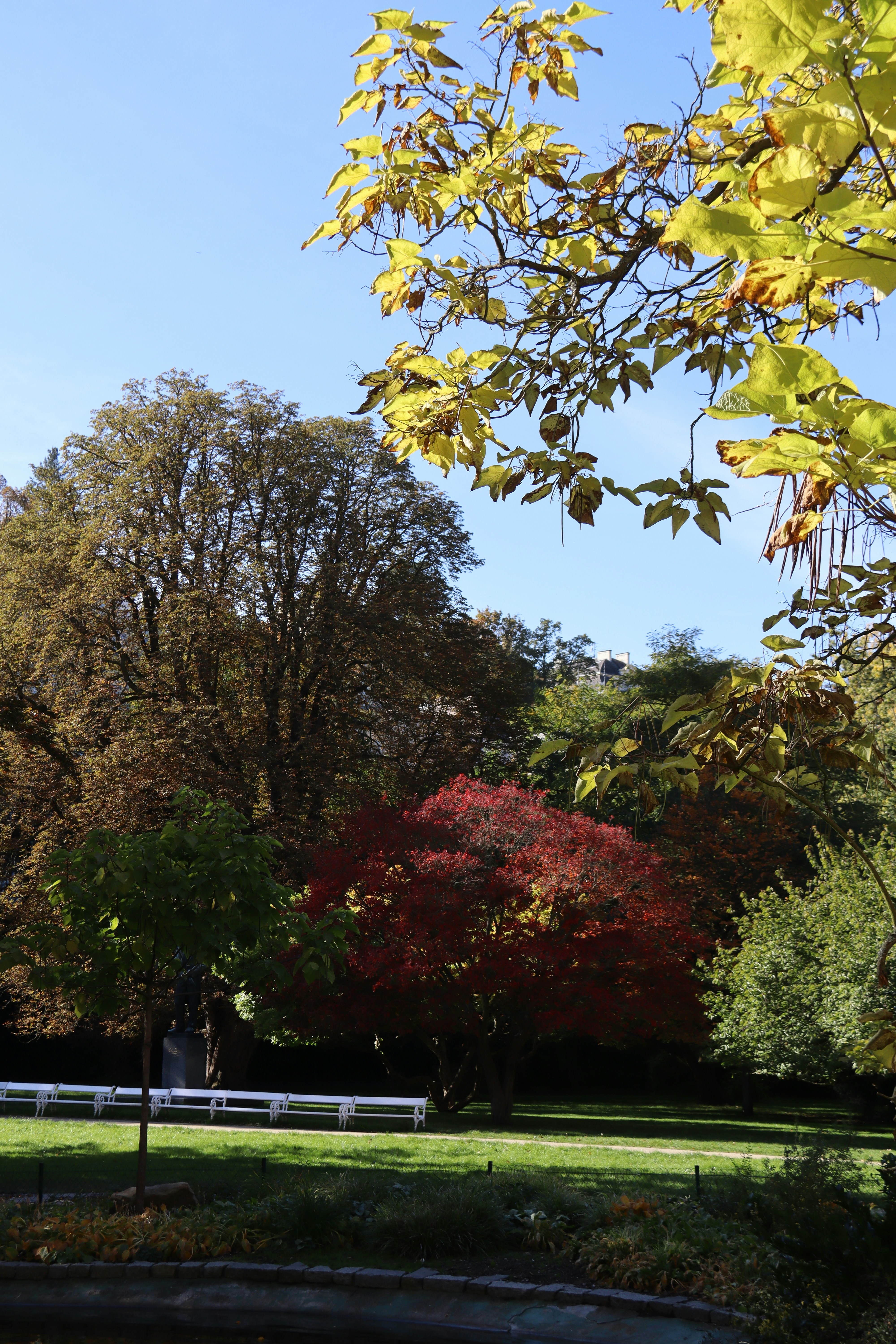 Photo by shalevcohen