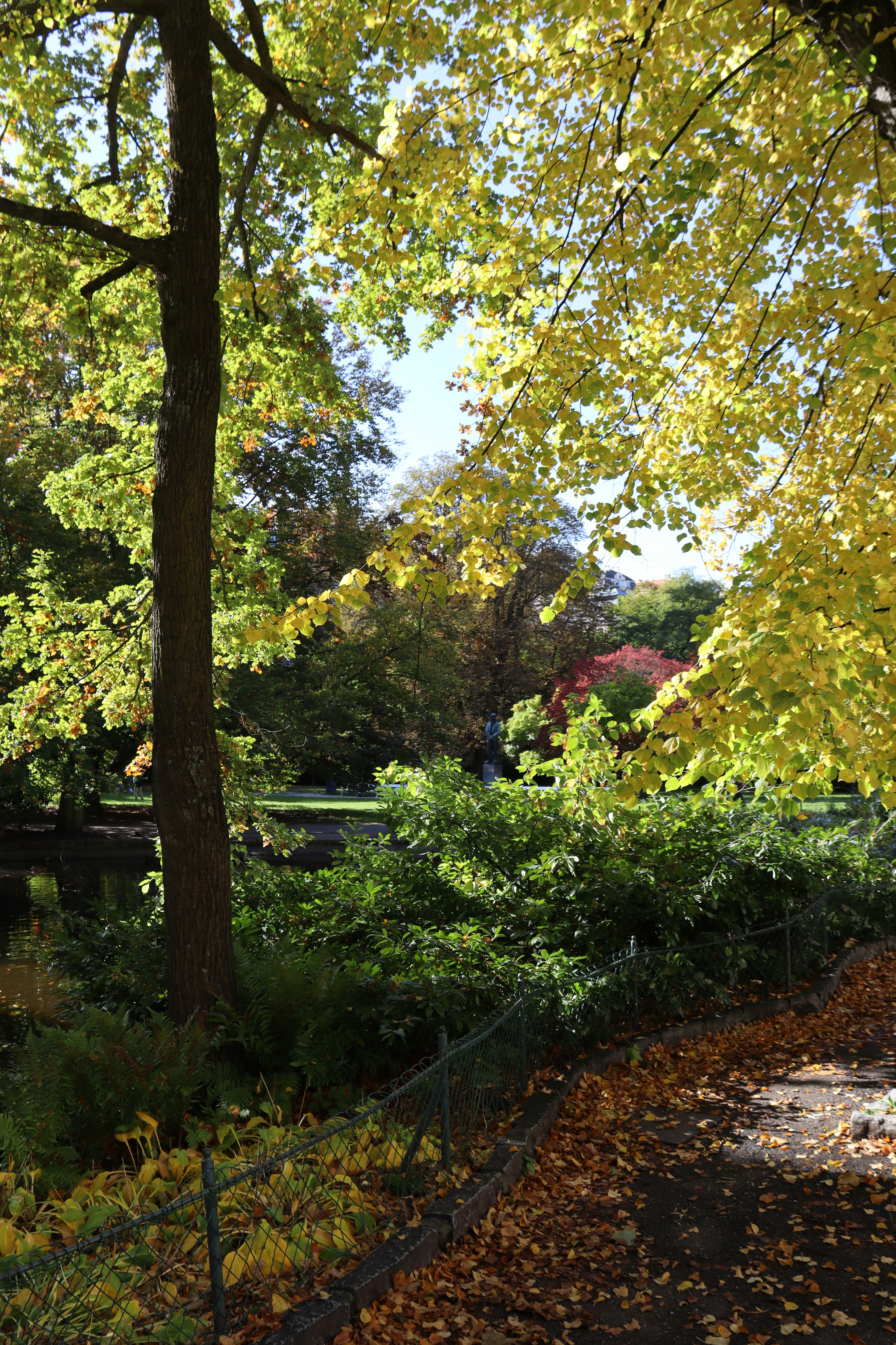 Photo by shalevcohen