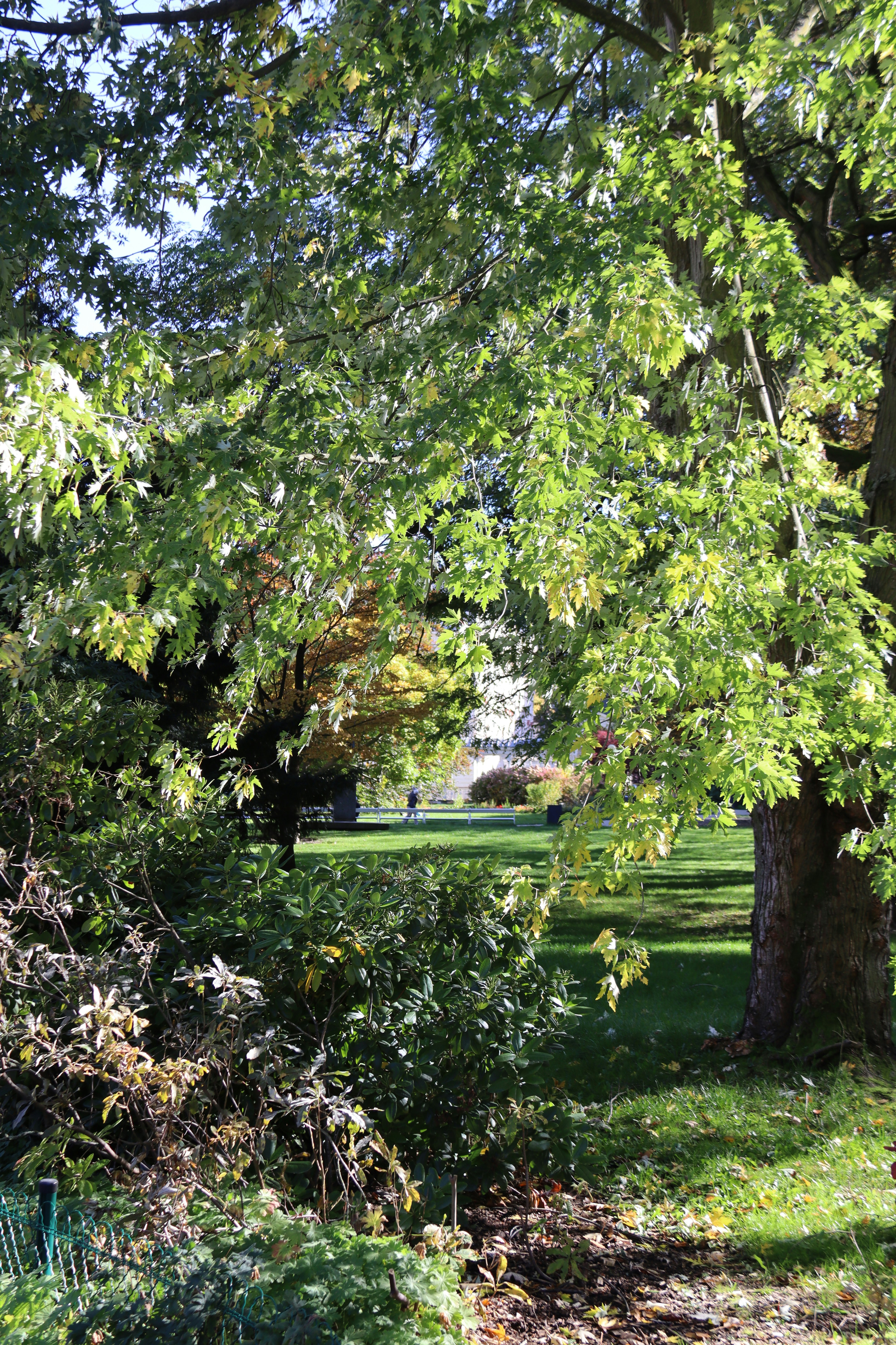 Photo by shalevcohen