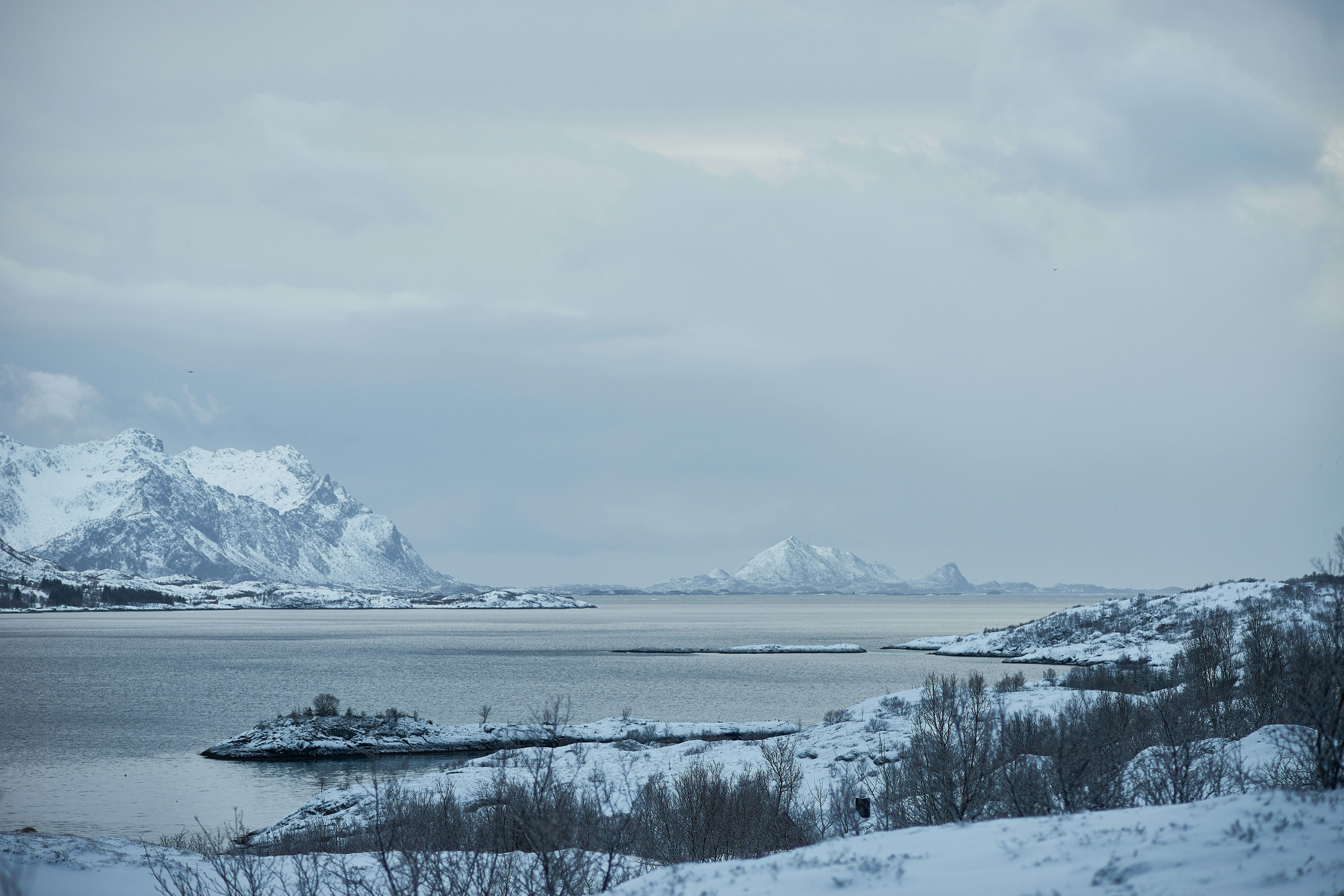 Photo by wolfgang_hasselmann