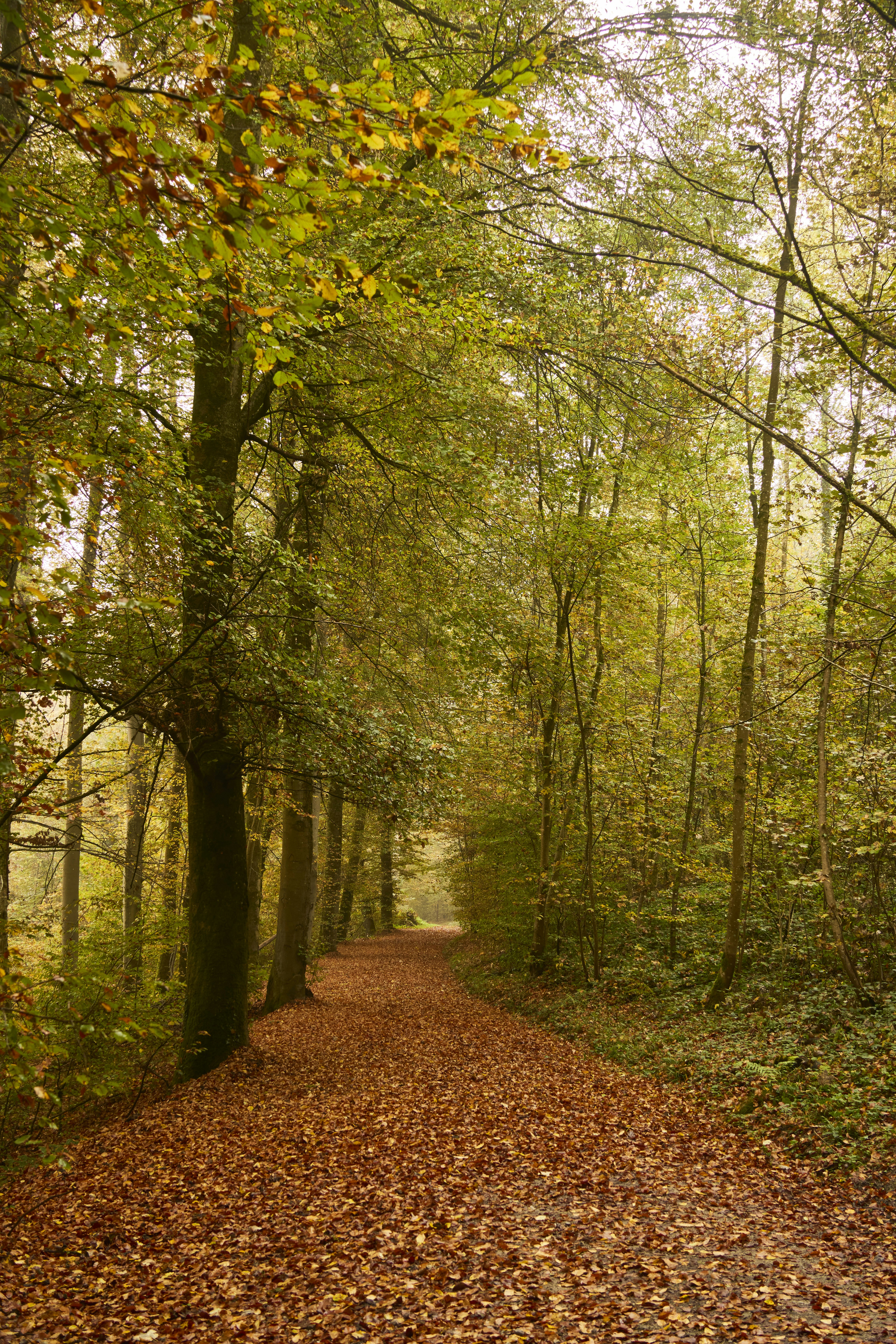 Photo by wolfgang_hasselmann