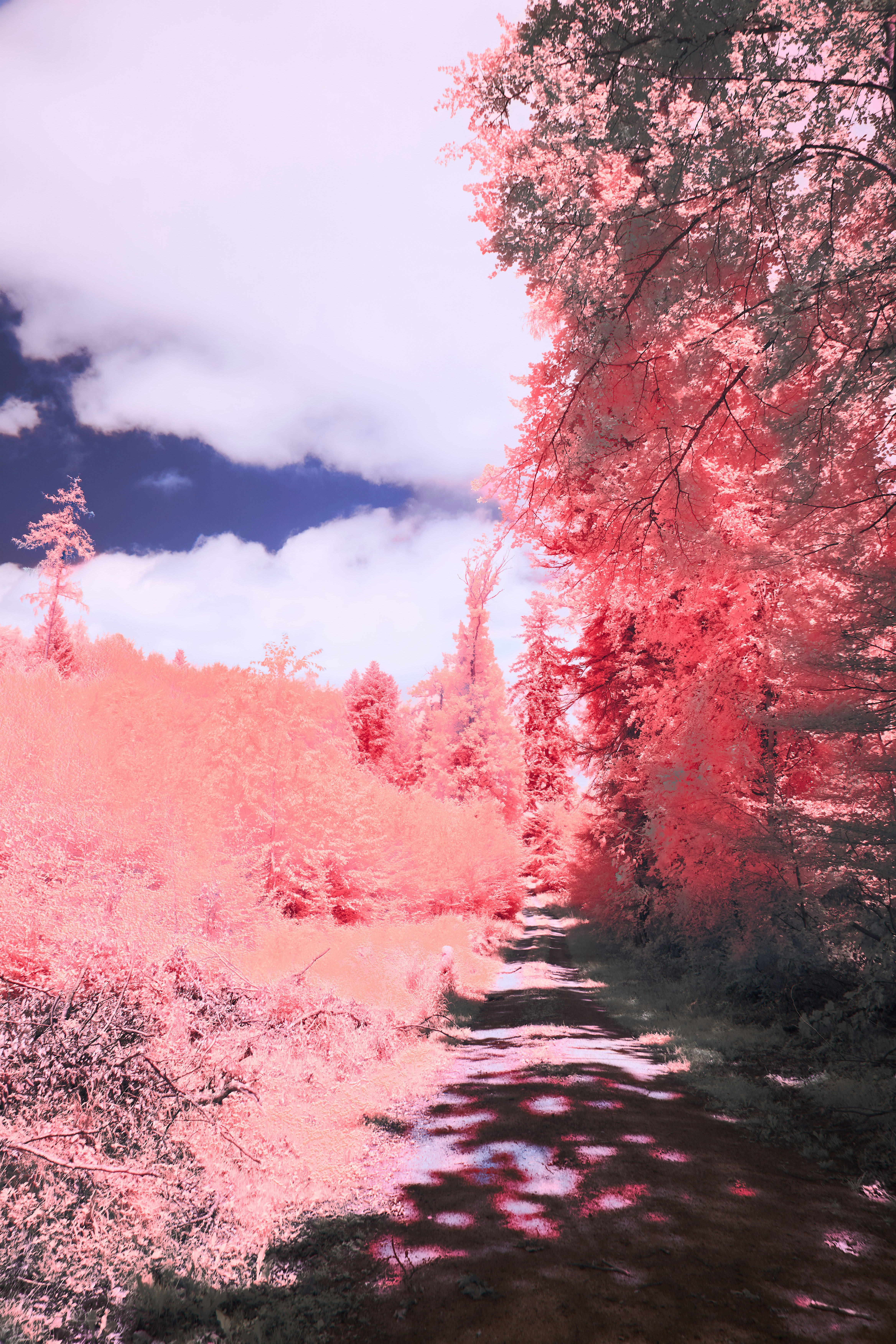 Photo by wolfgang_hasselmann