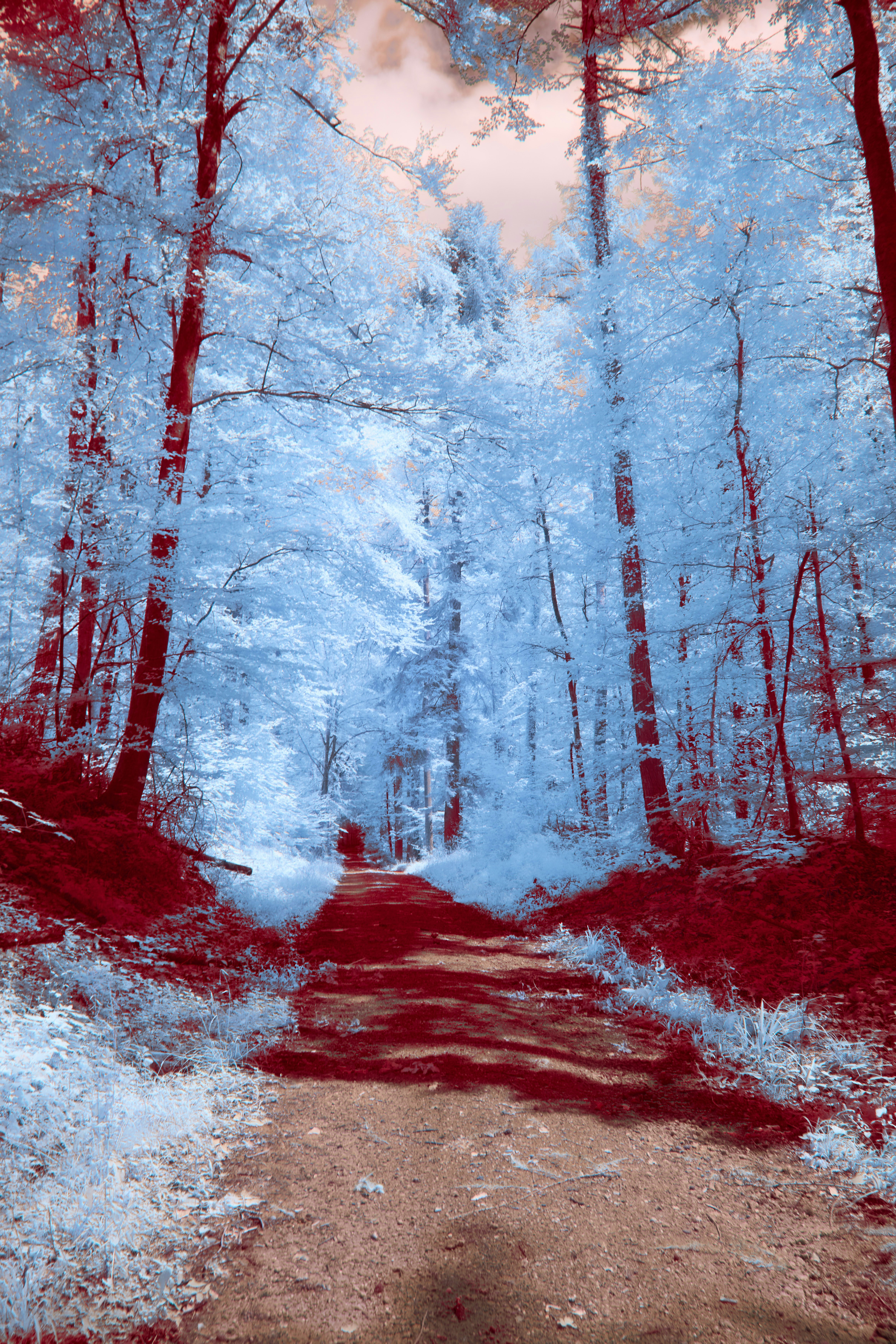 Photo by wolfgang_hasselmann