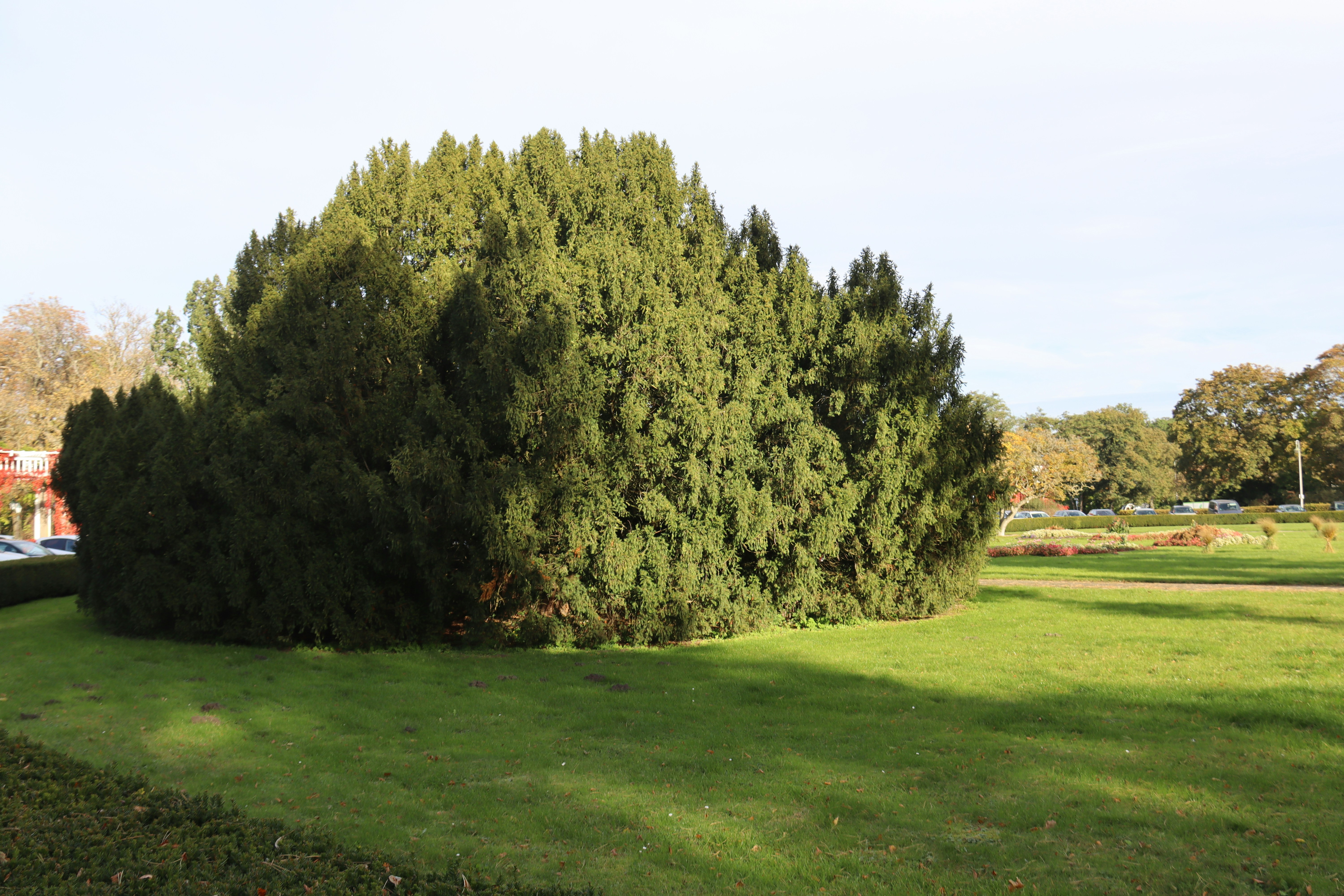 Photo by shalevcohen