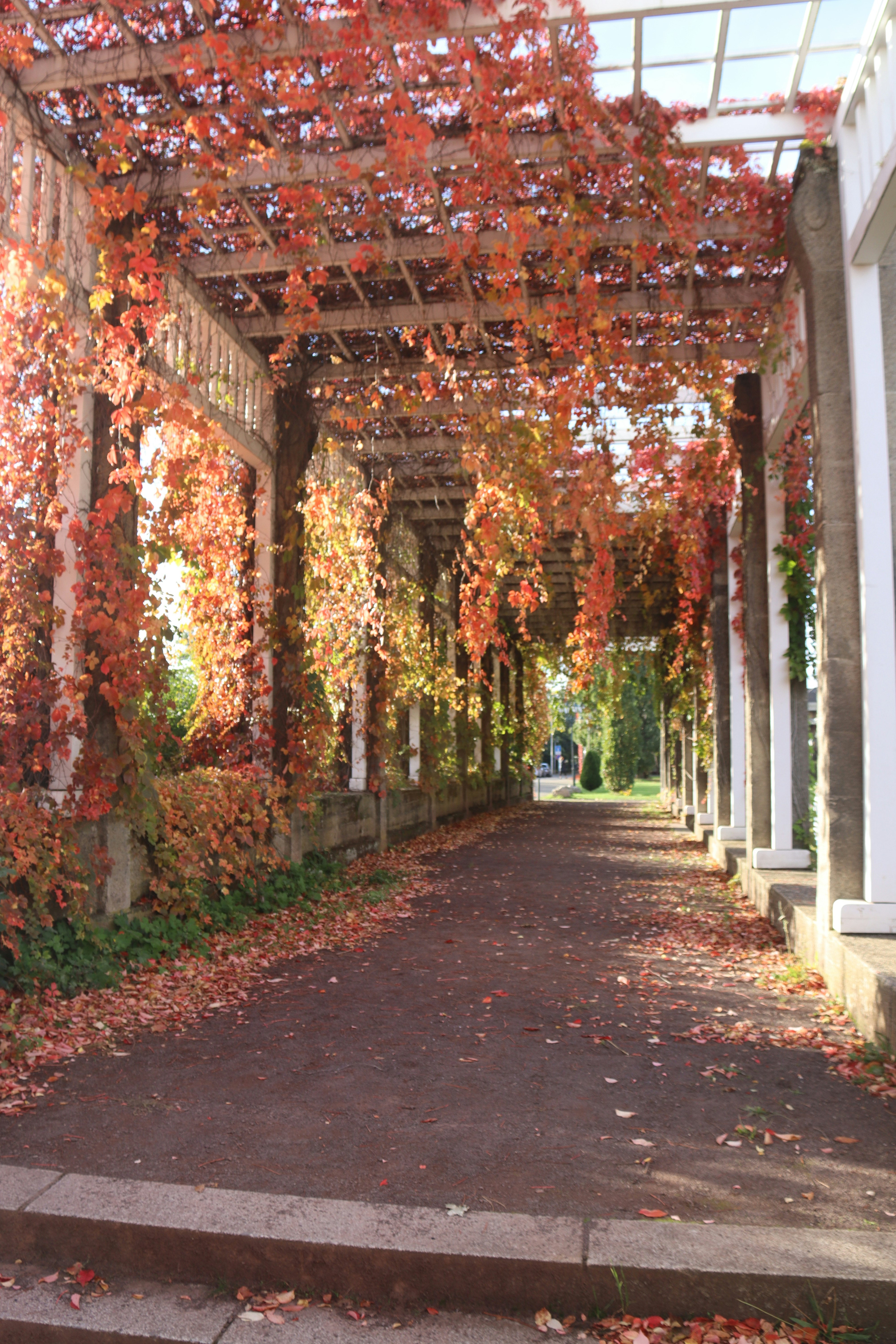 Photo by shalevcohen