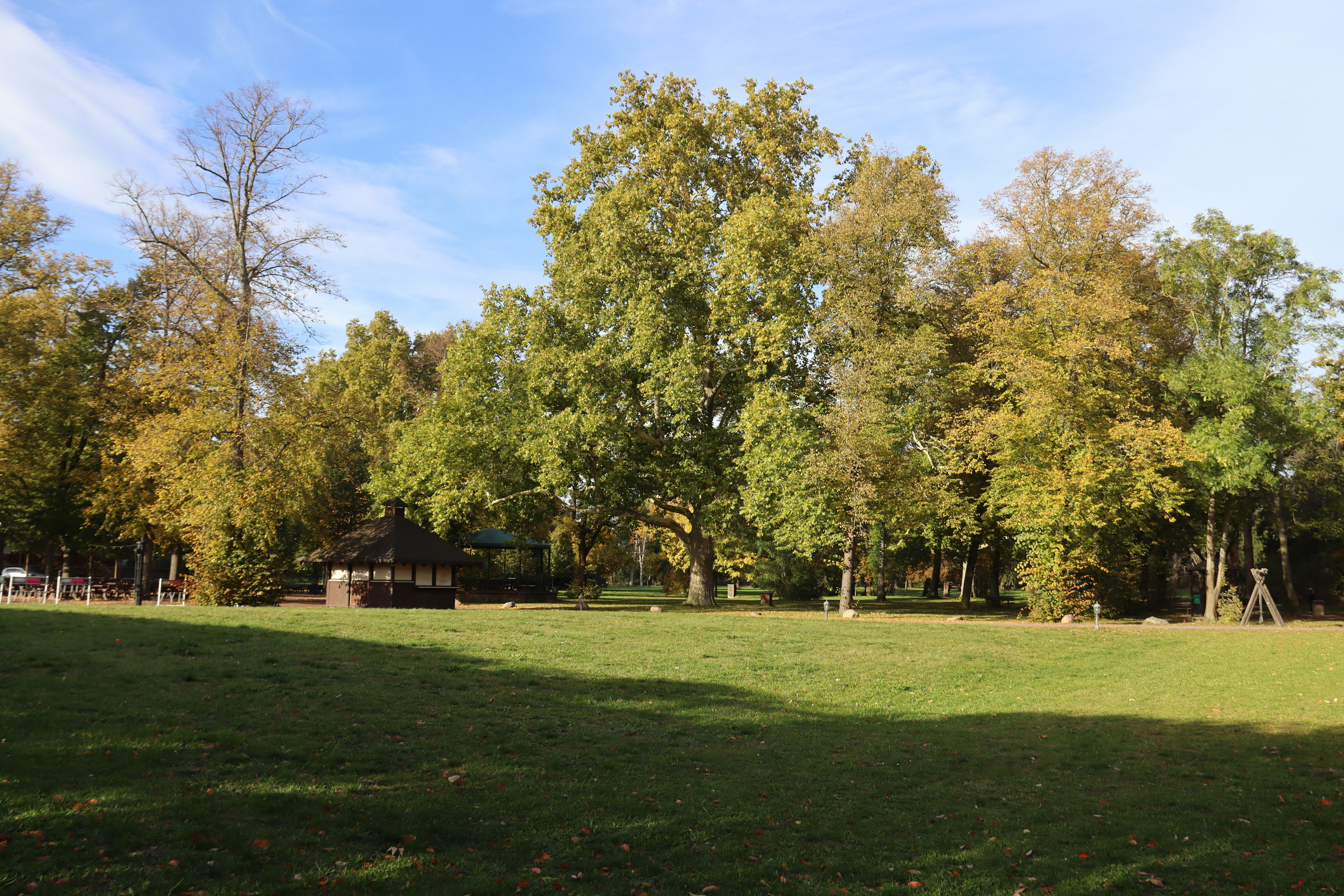 Photo by shalevcohen