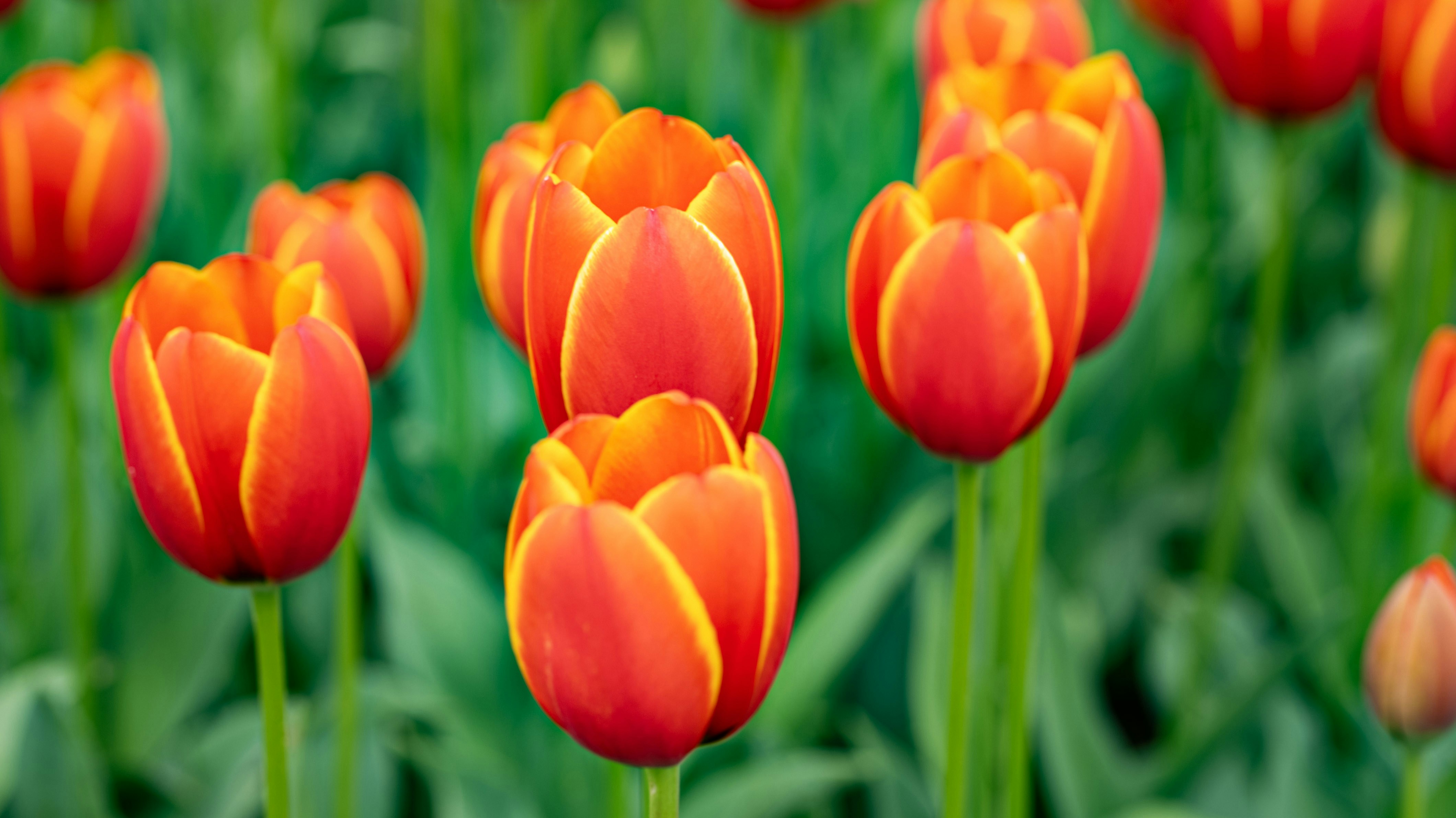 Photo by mihaela_claudia_p