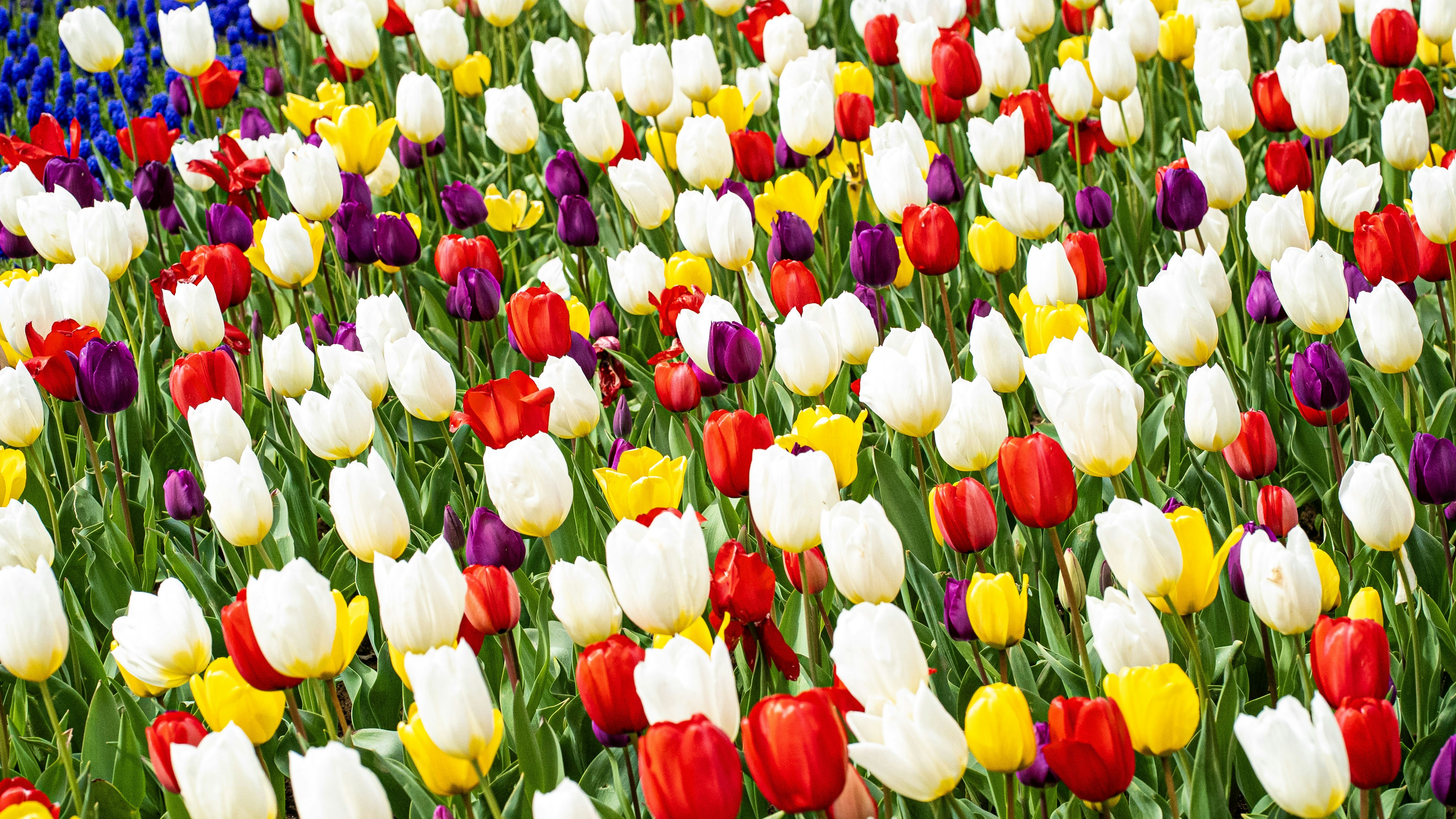 Photo by mihaela_claudia_p