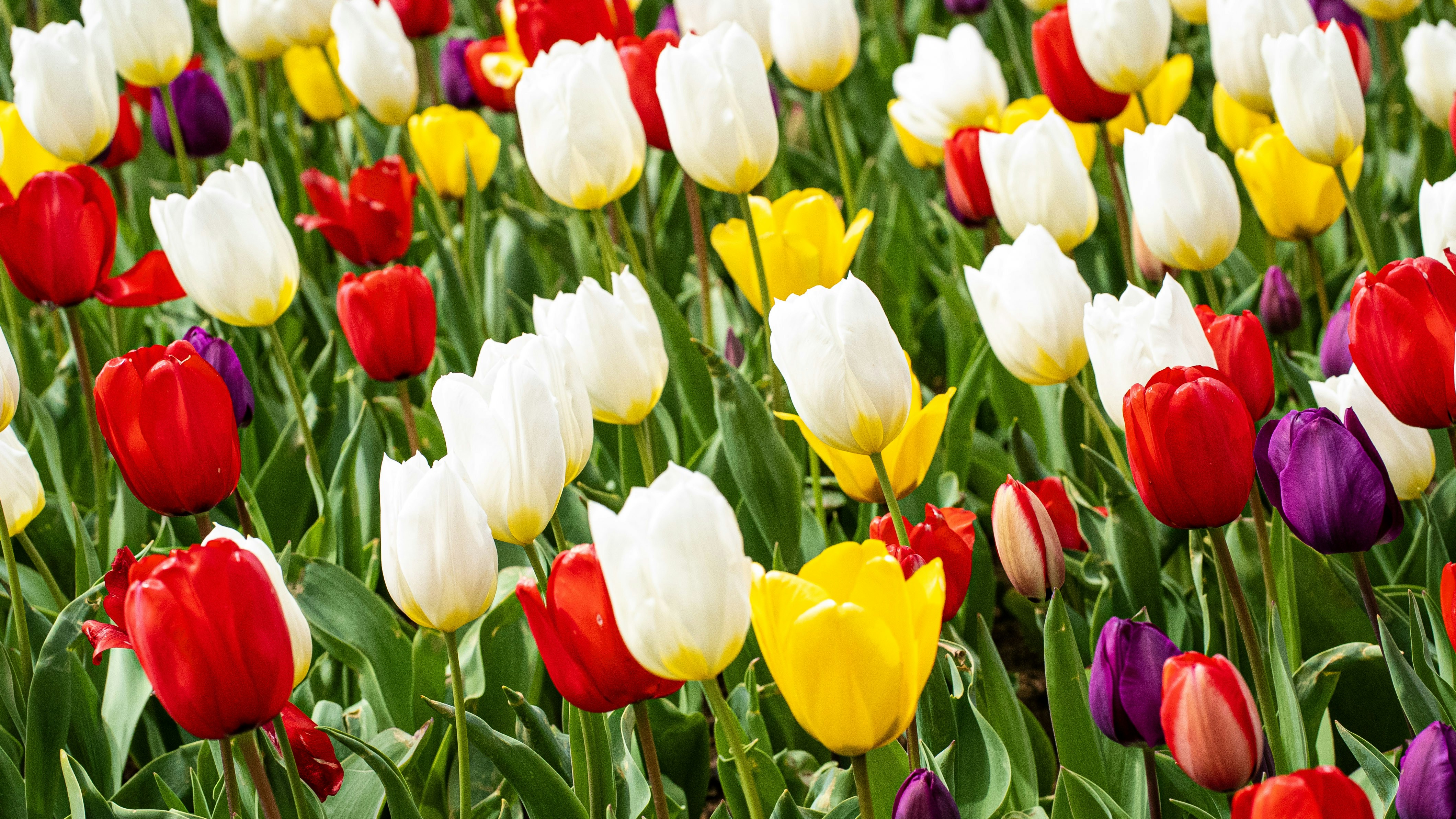 Photo by mihaela_claudia_p