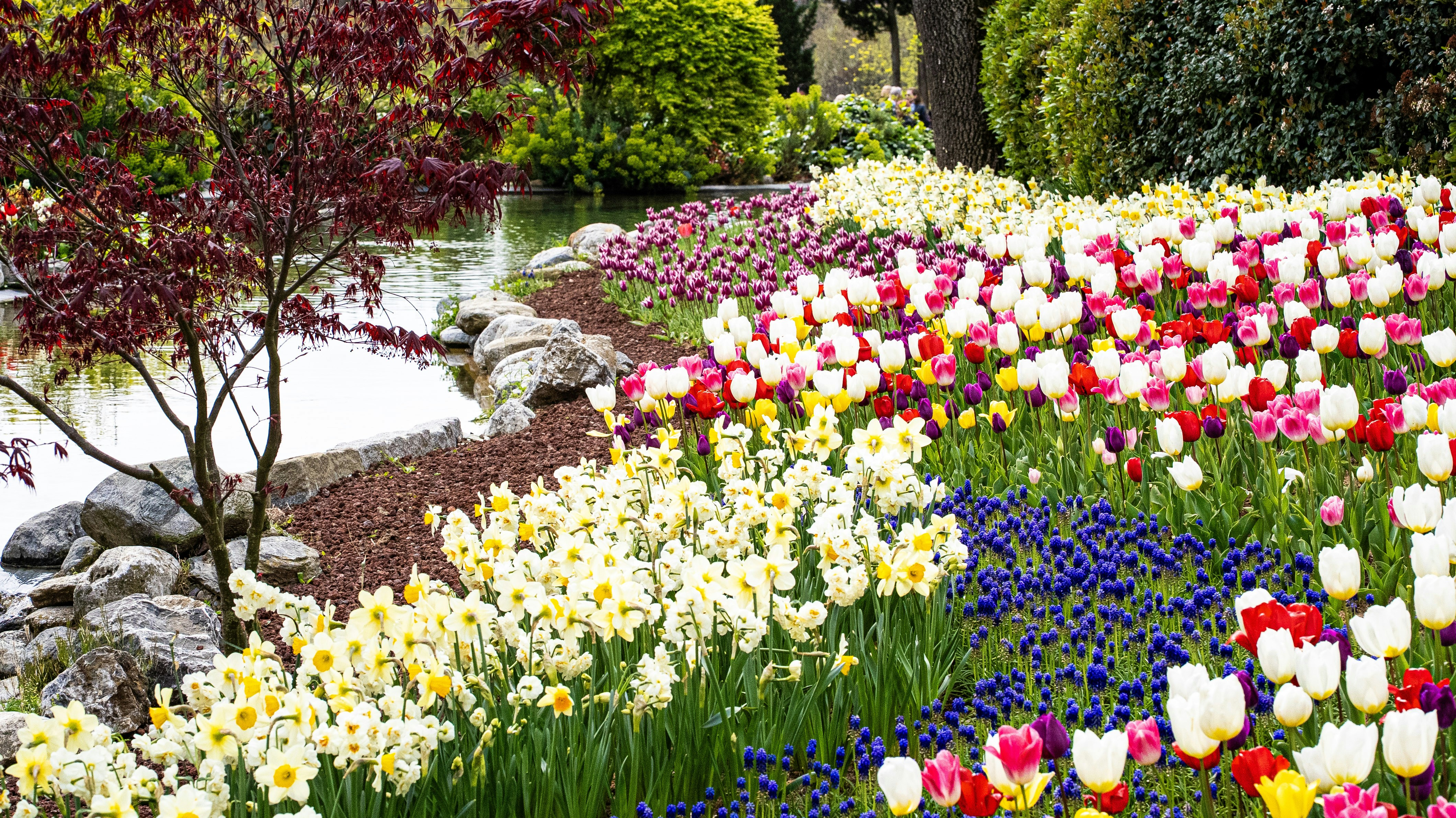 Photo by mihaela_claudia_p