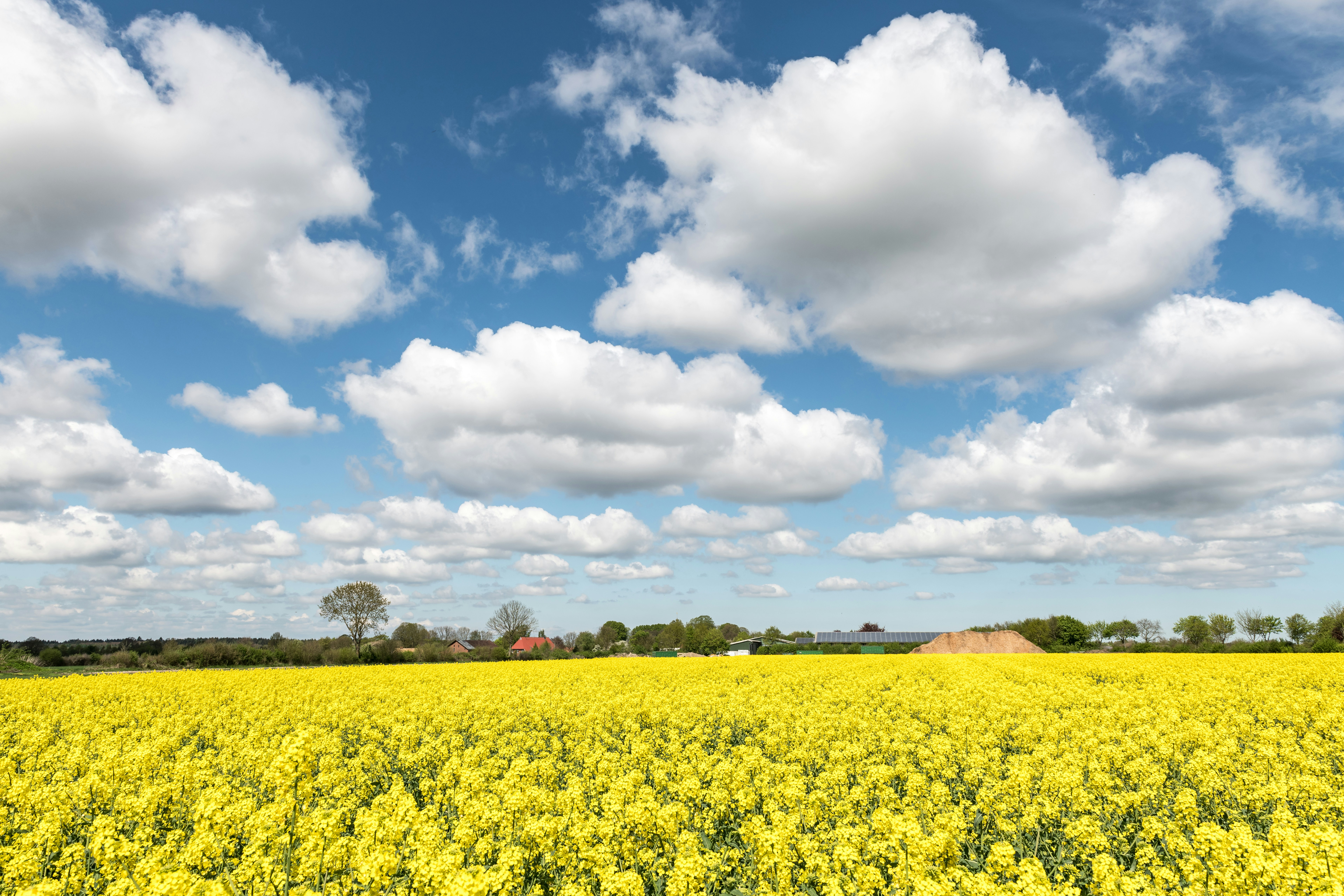 Photo by hamburgmeinefreundin