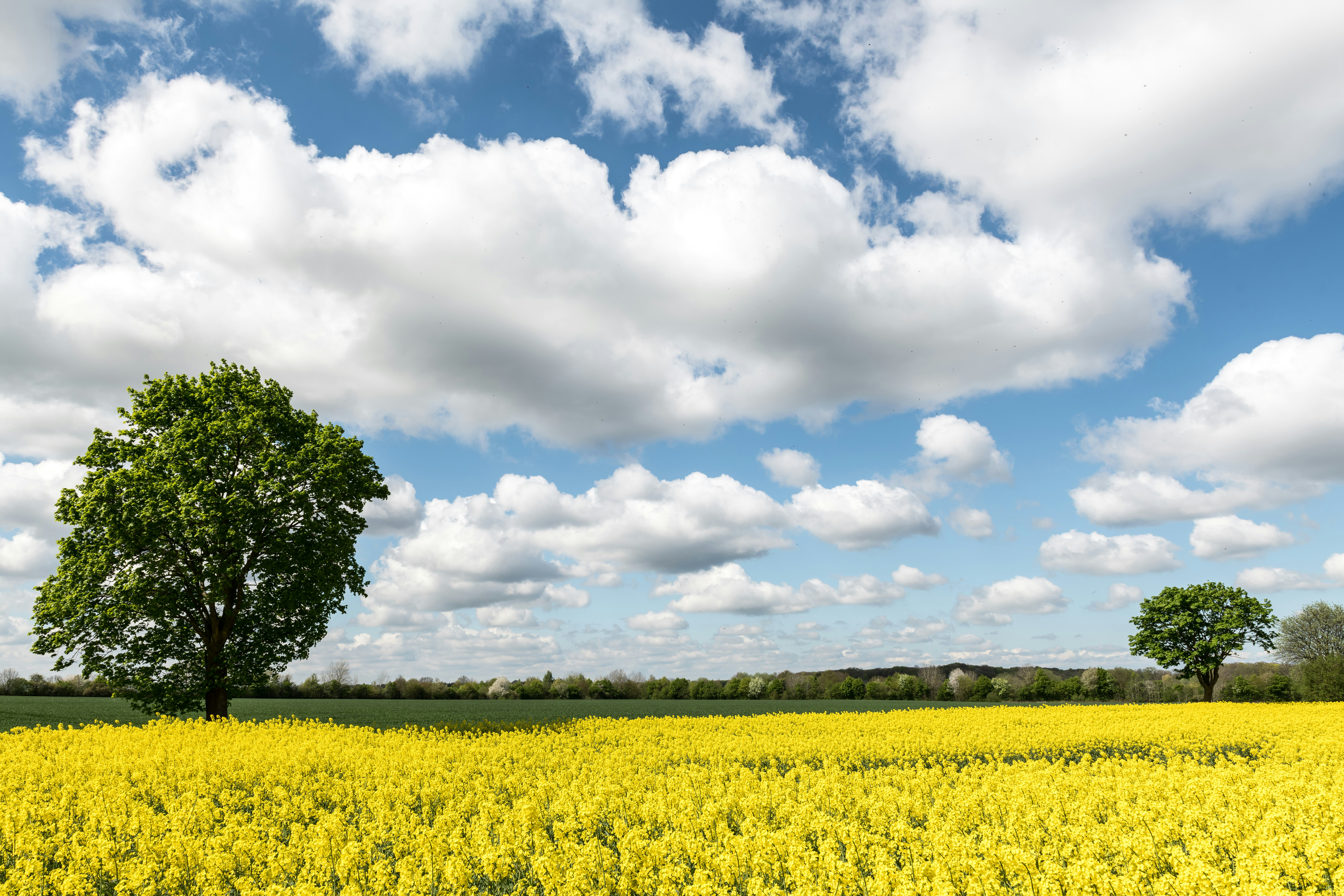 Photo by hamburgmeinefreundin