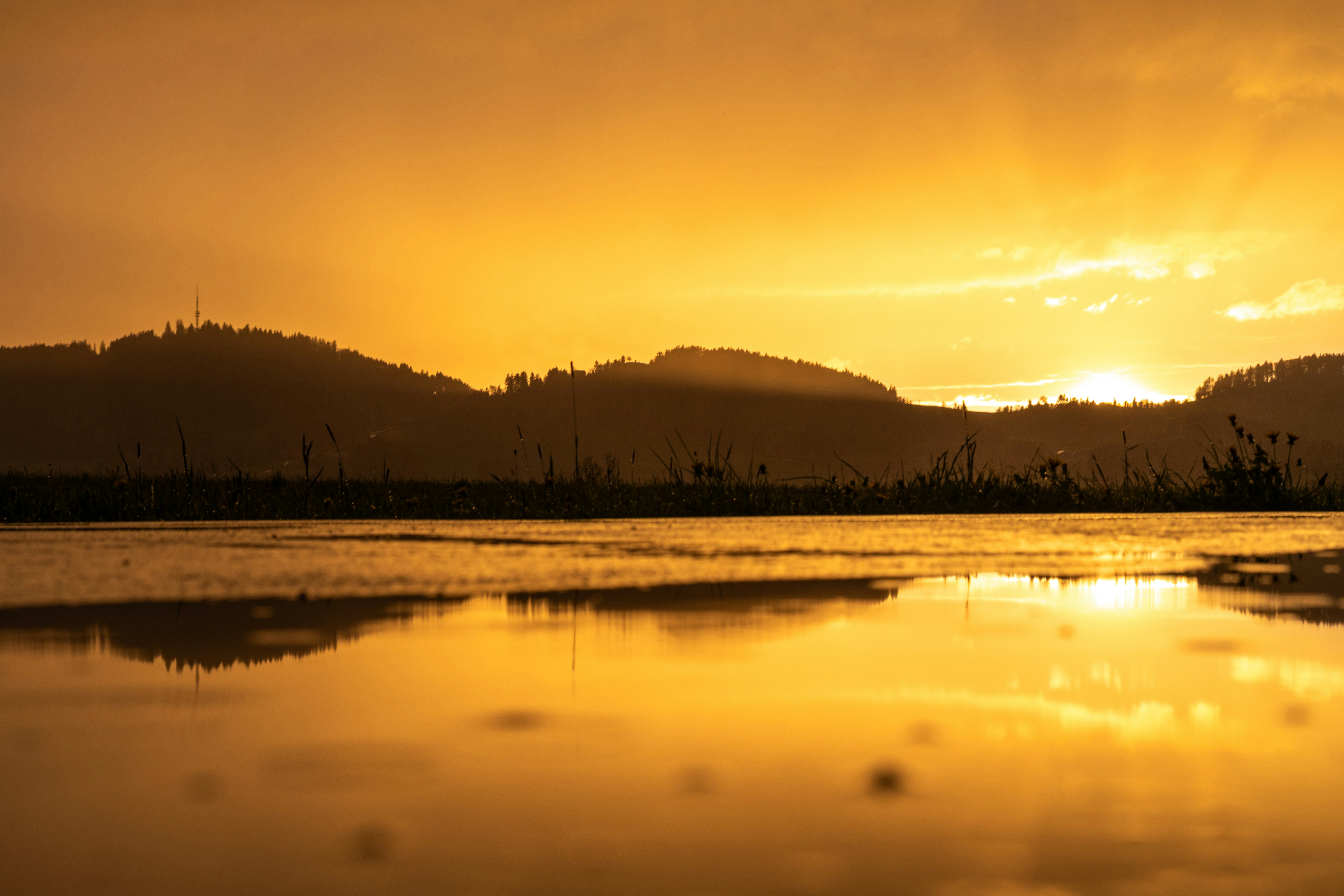 Photo by noelwangler