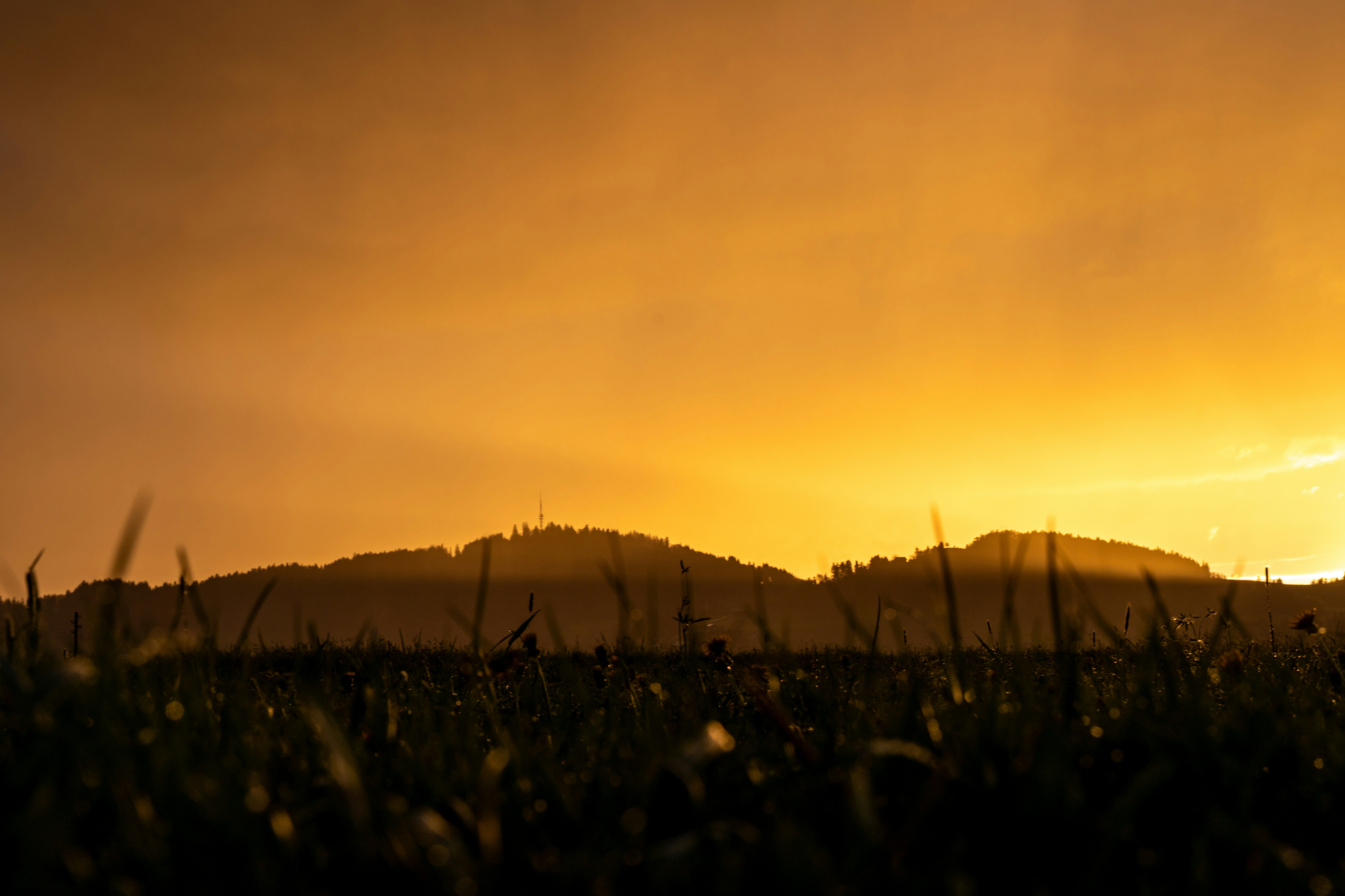 Photo by noelwangler