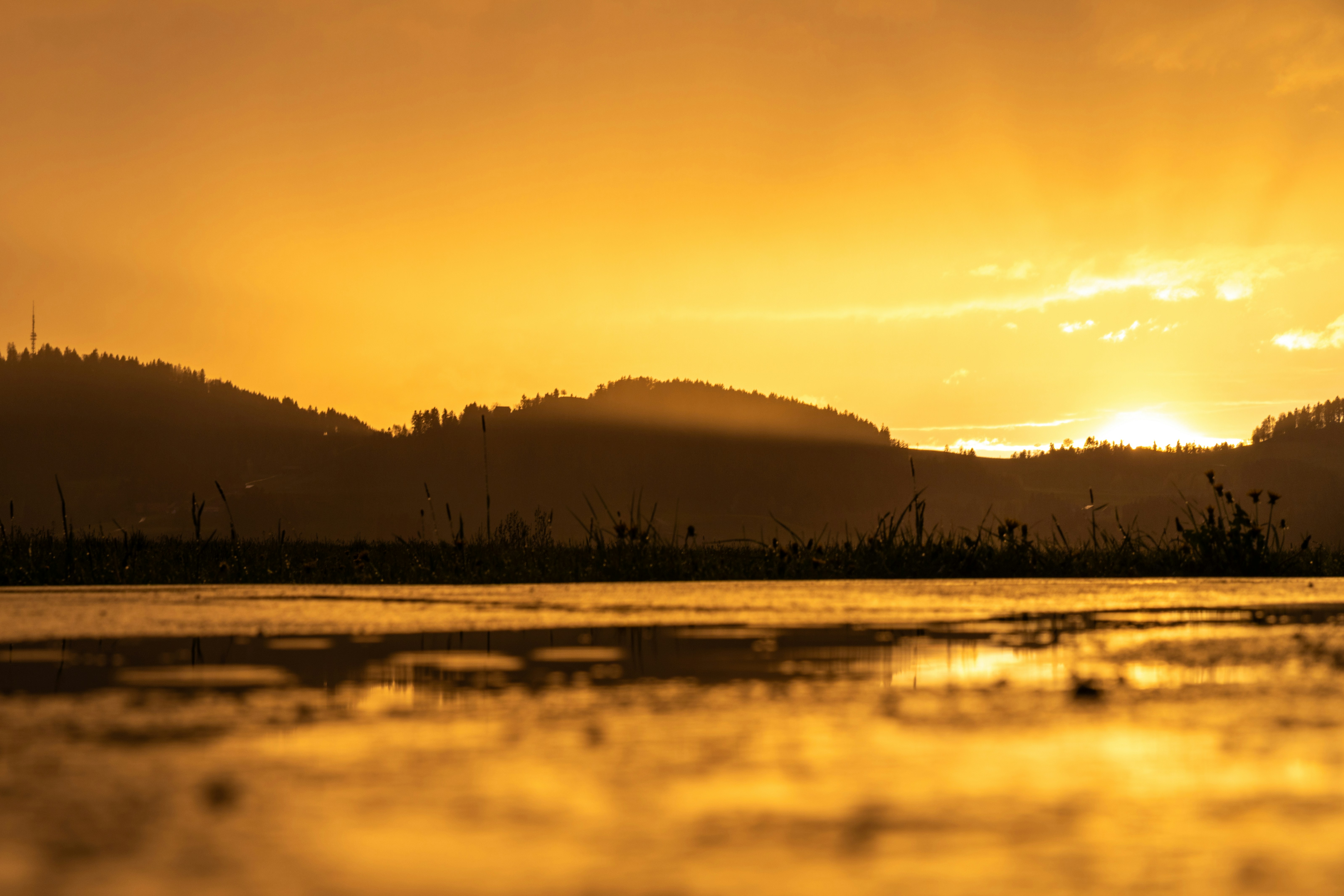 Photo by noelwangler