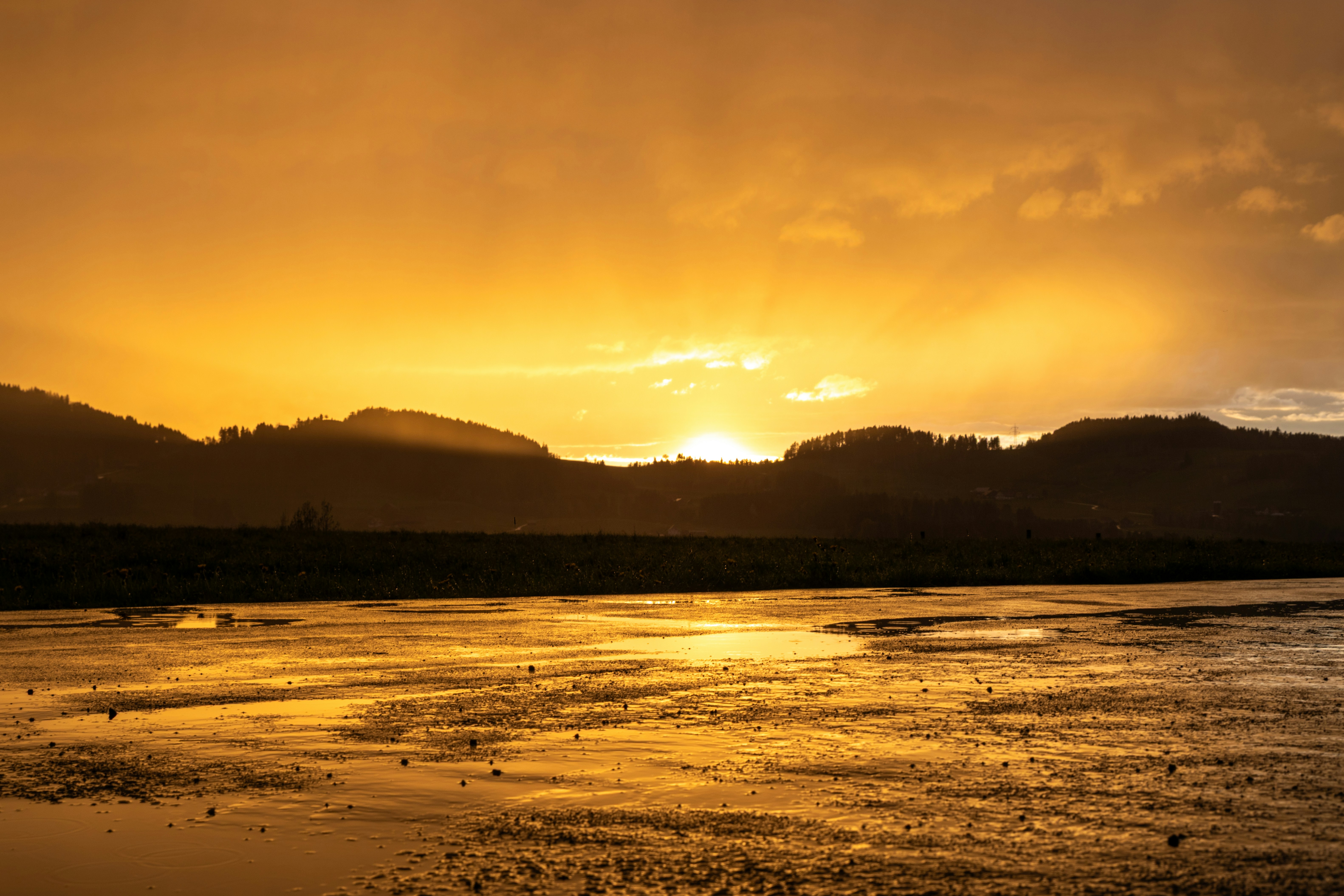 A golden sunset reflects over water.