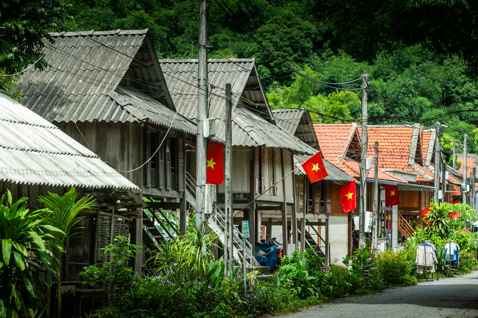 Houses are lined up along a rural vietnamese road.