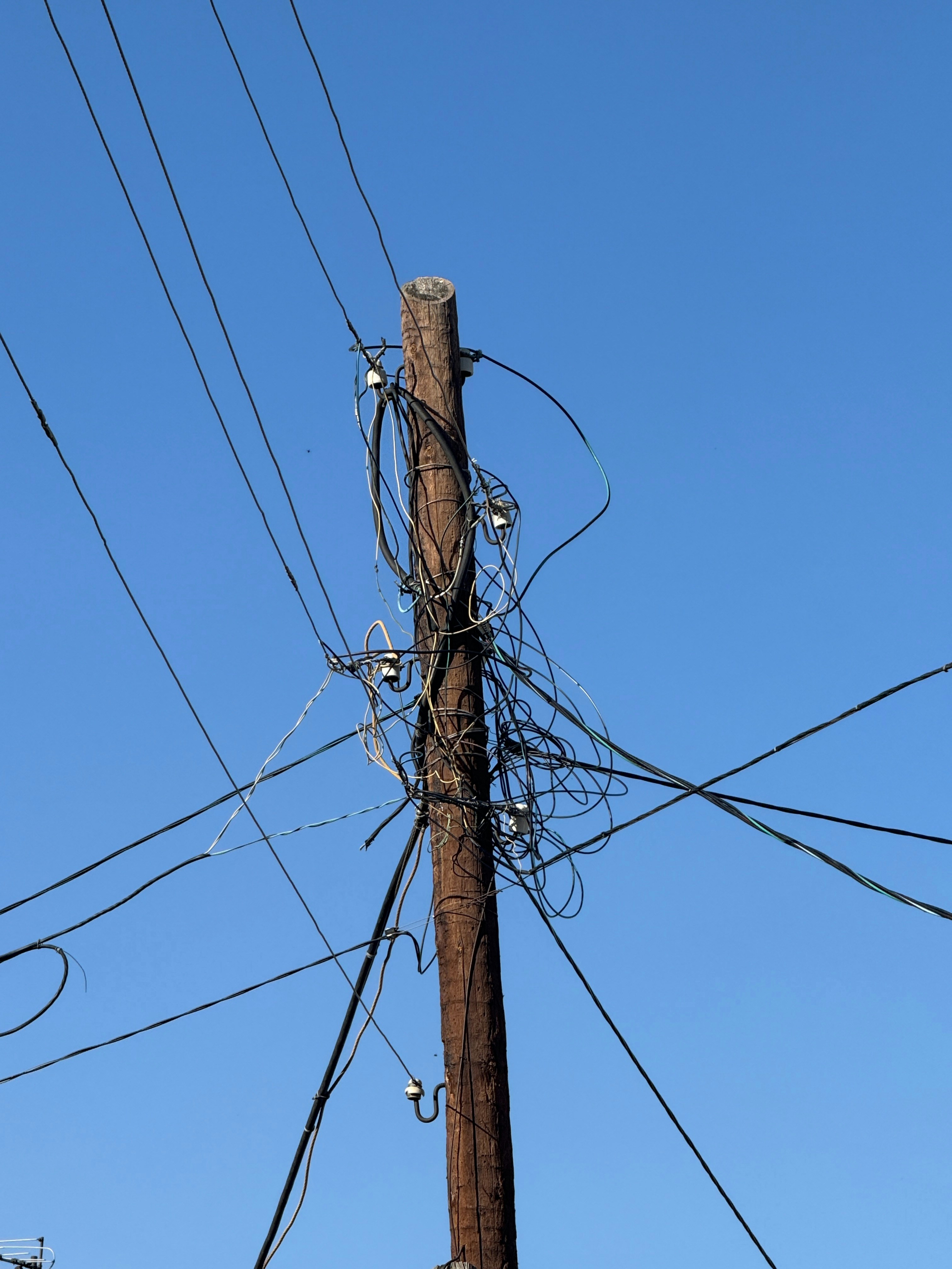 Photo by novikovaleksei