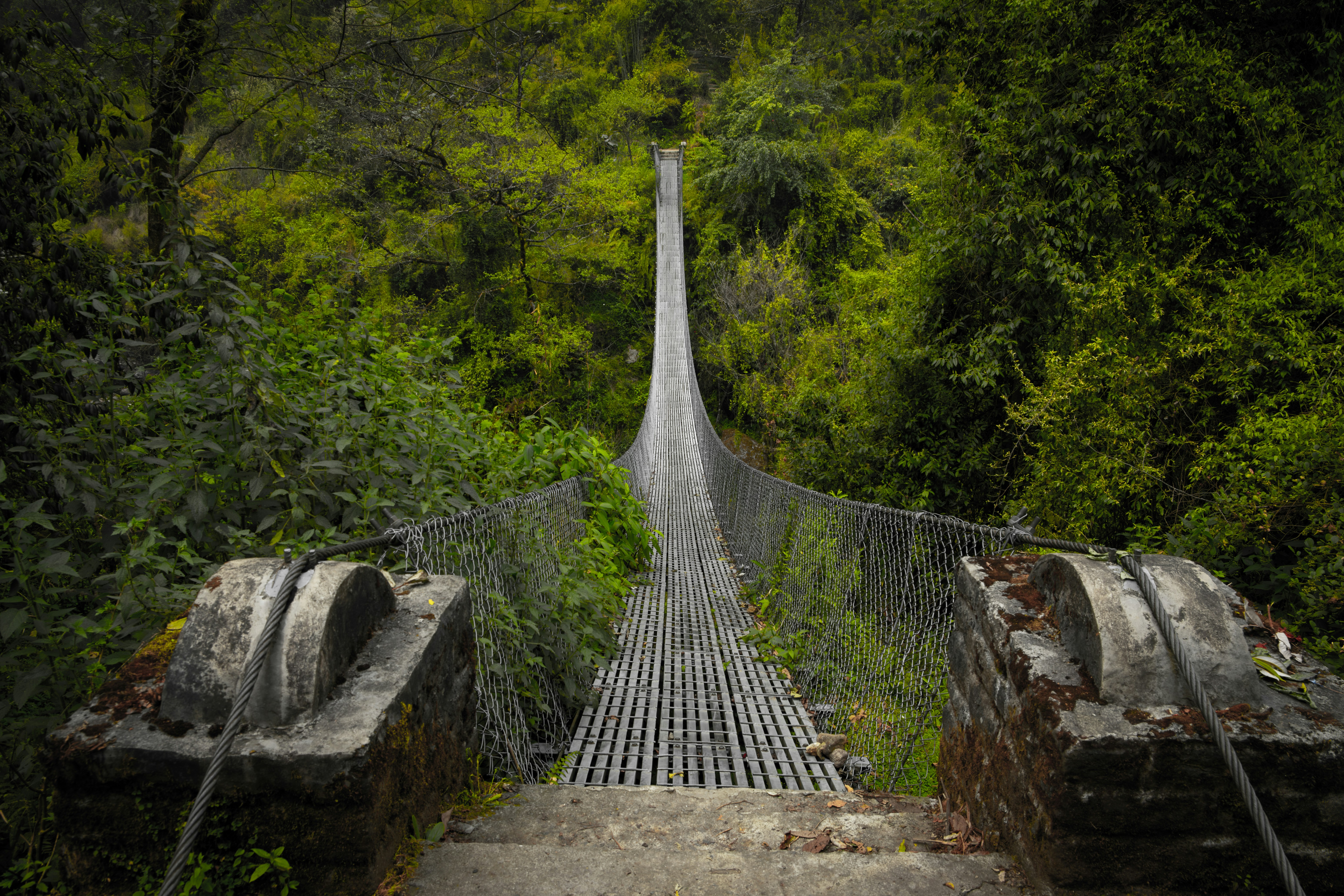 Photo by mayurarvind