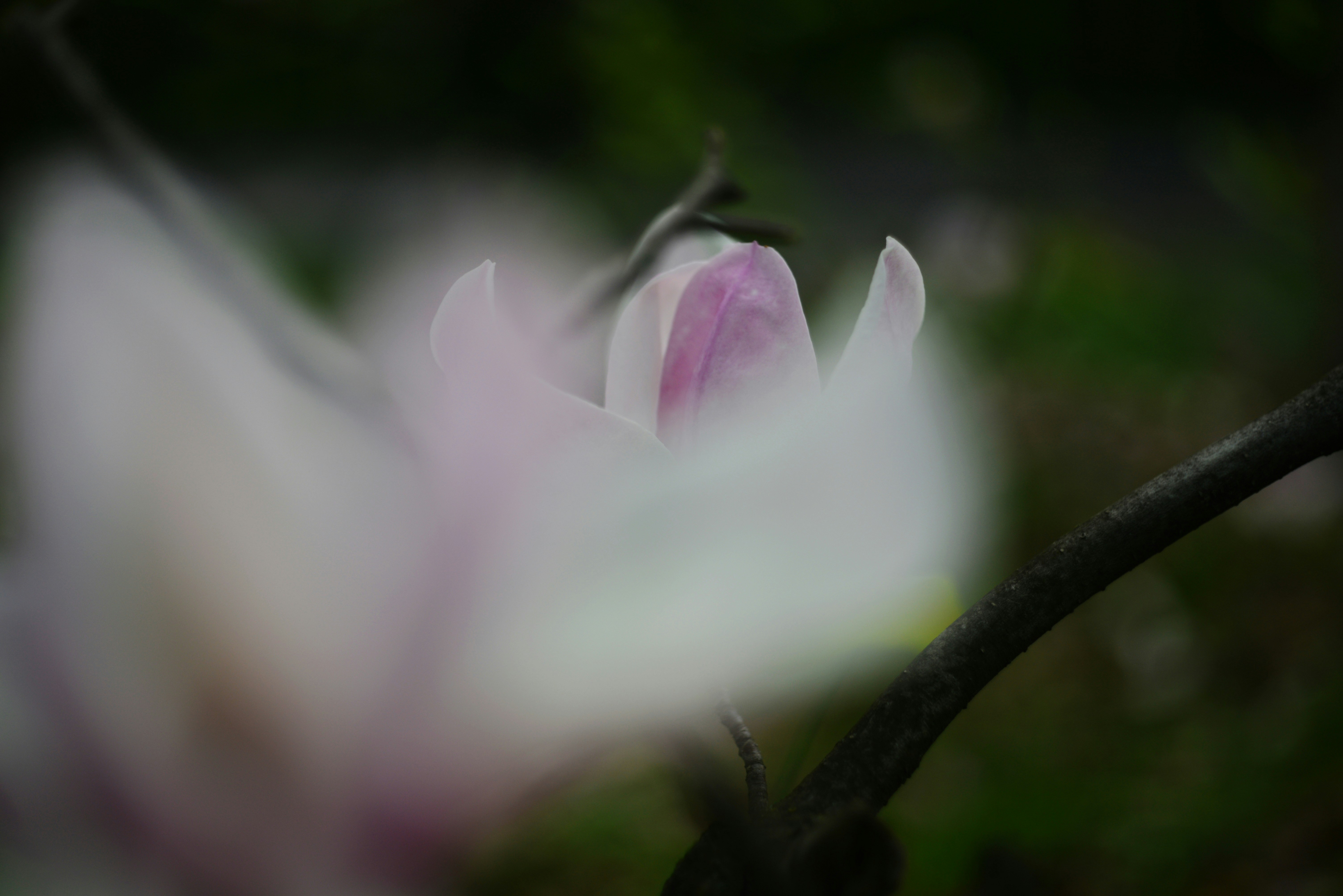 Photo by cherstve_pechivo