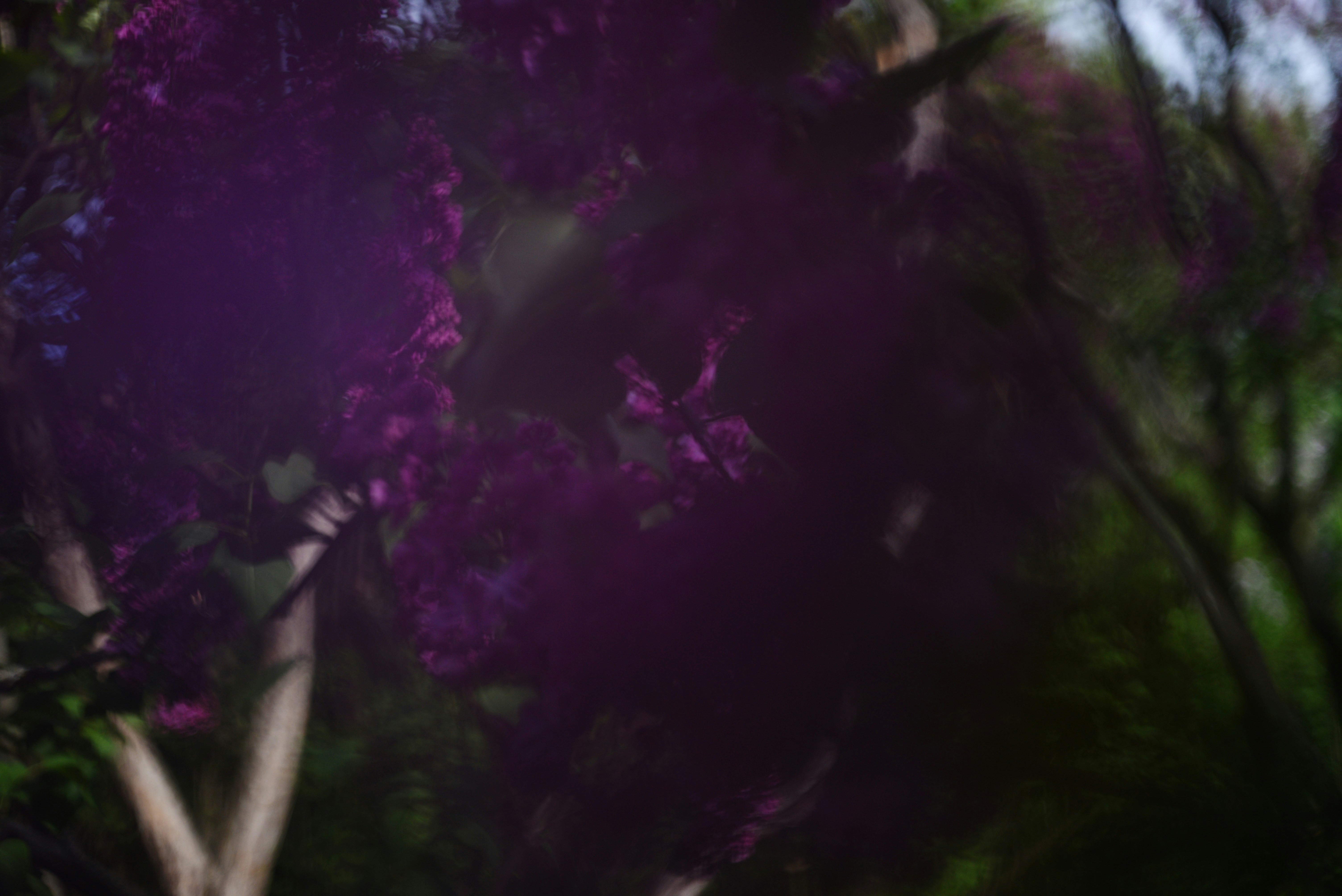 Photo by cherstve_pechivo