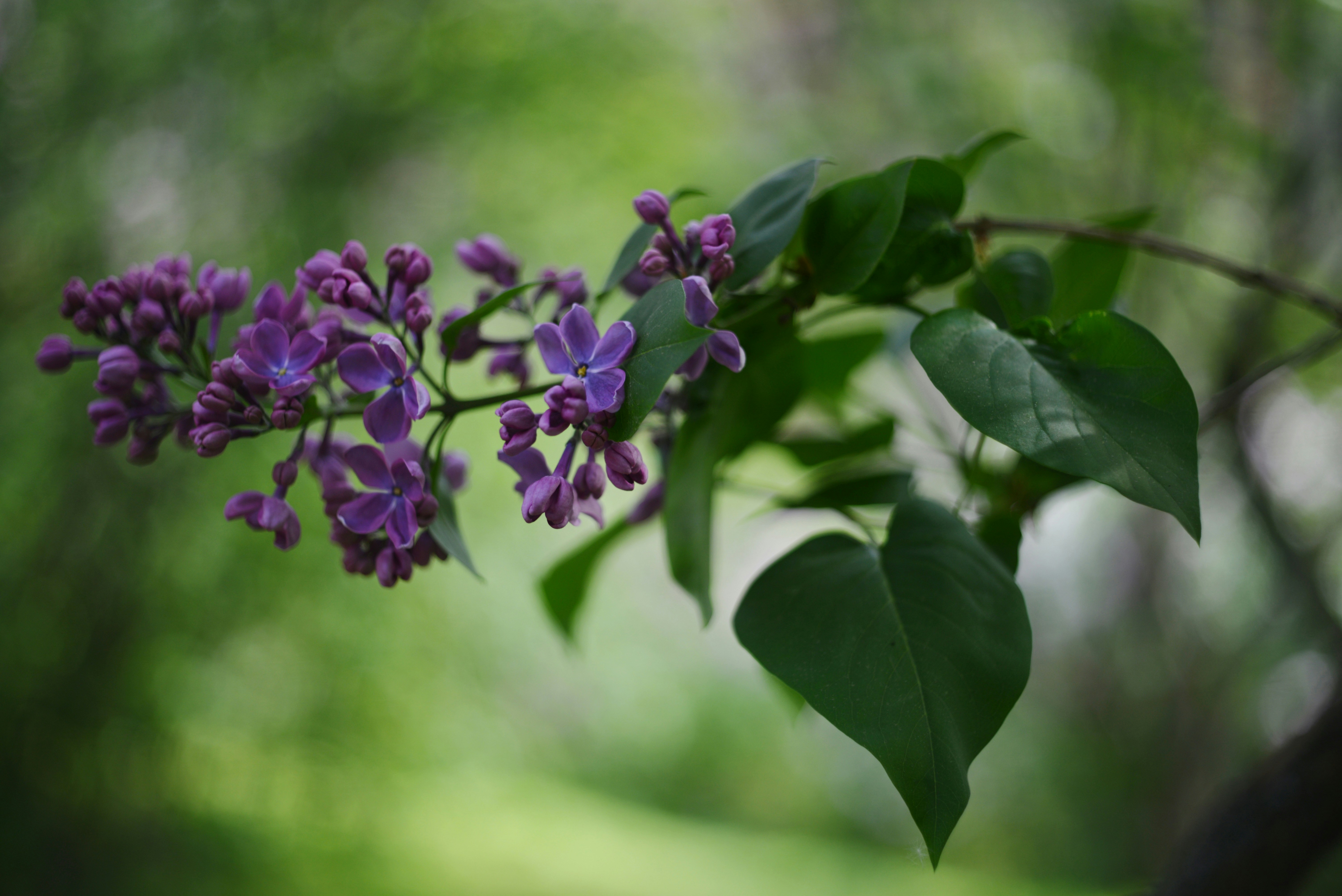 Photo by cherstve_pechivo