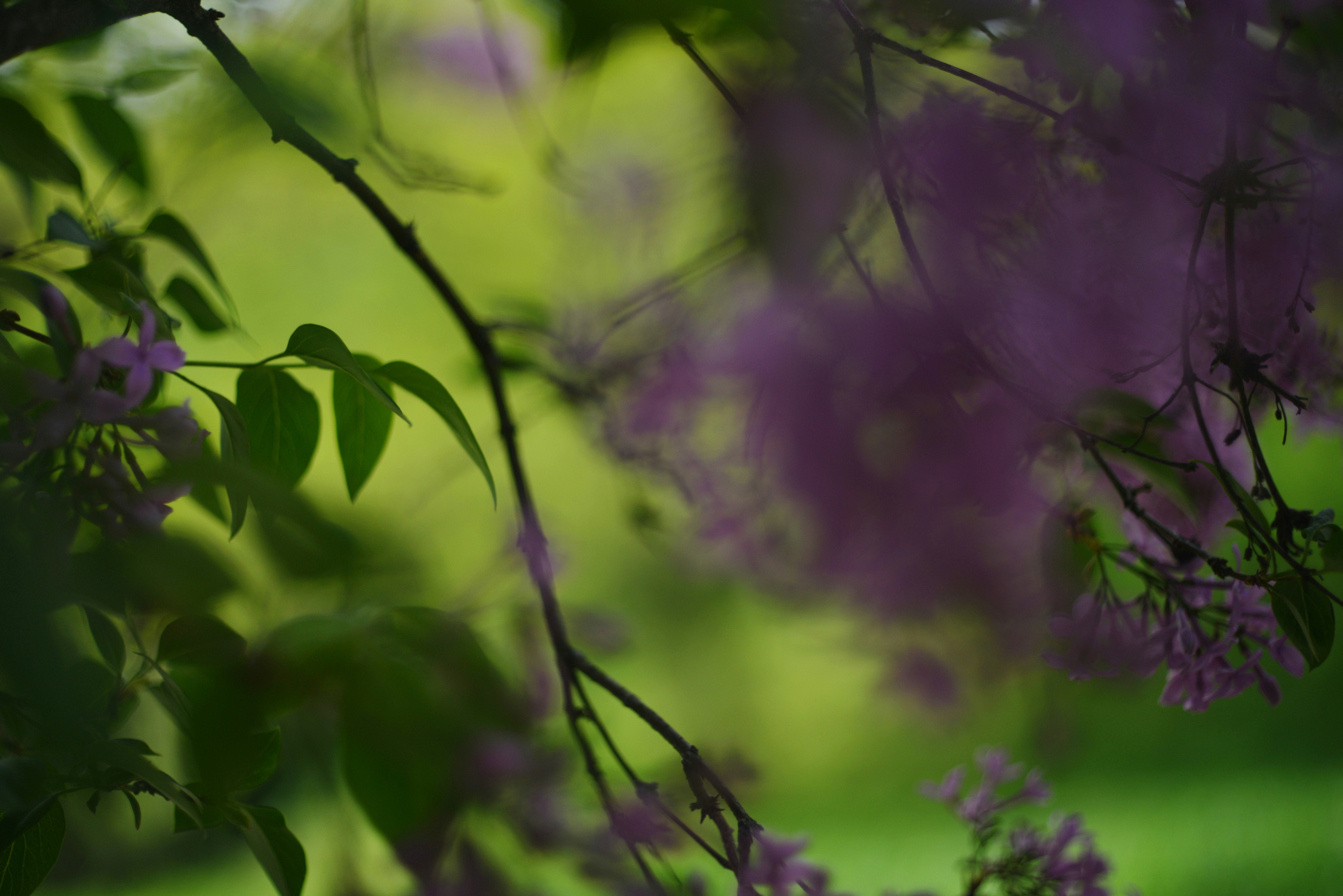 Photo by cherstve_pechivo