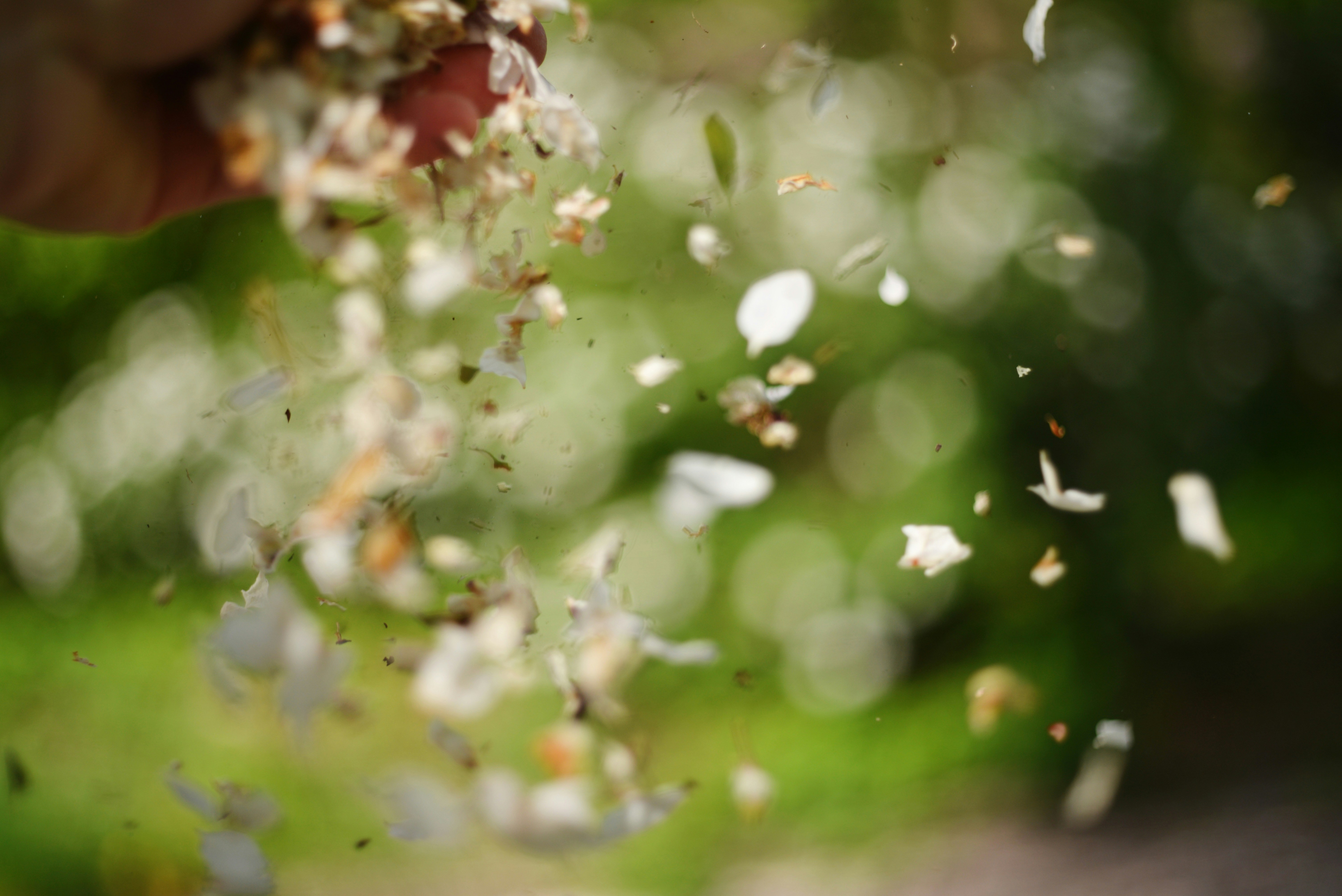 Photo by cherstve_pechivo