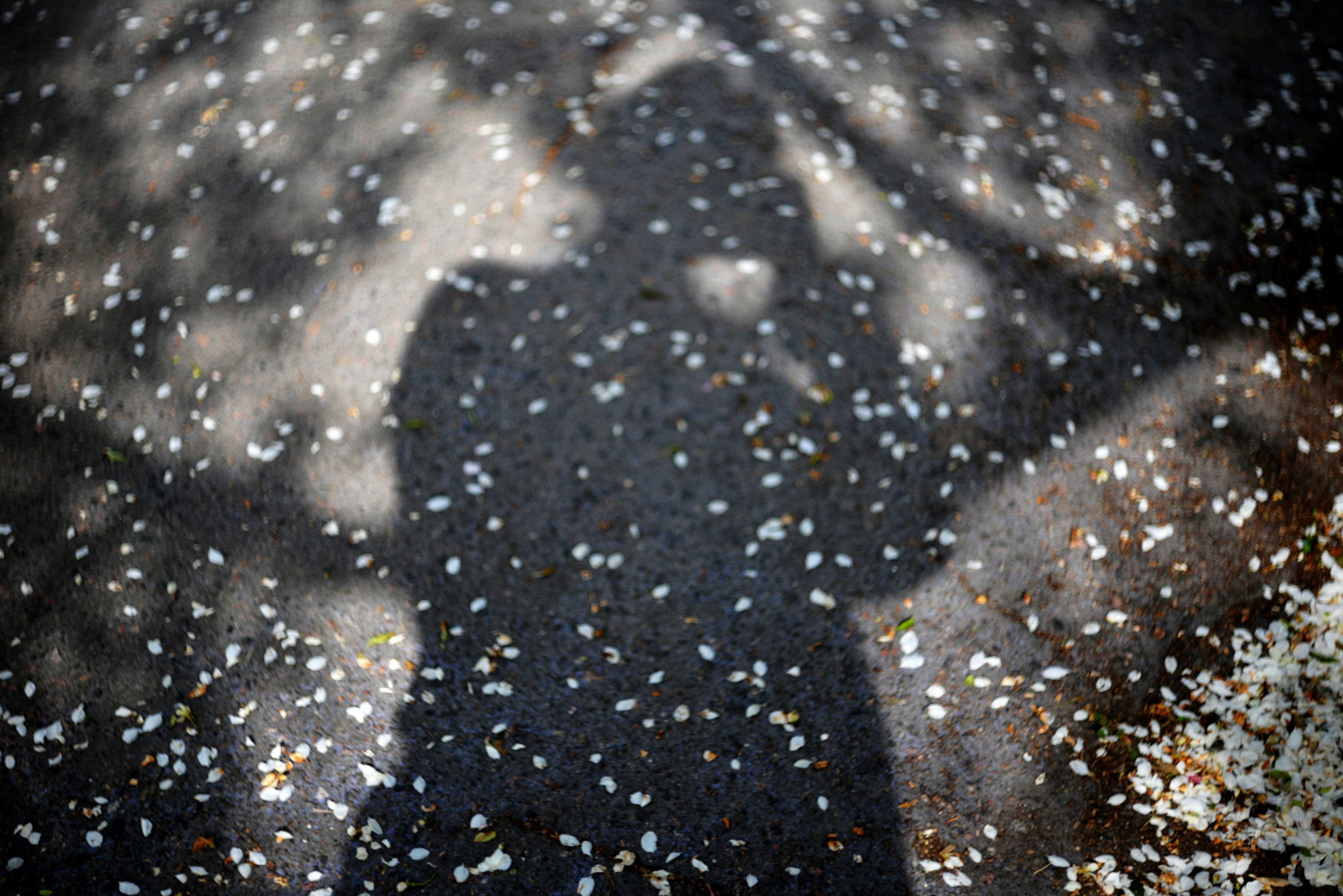 Photo by cherstve_pechivo