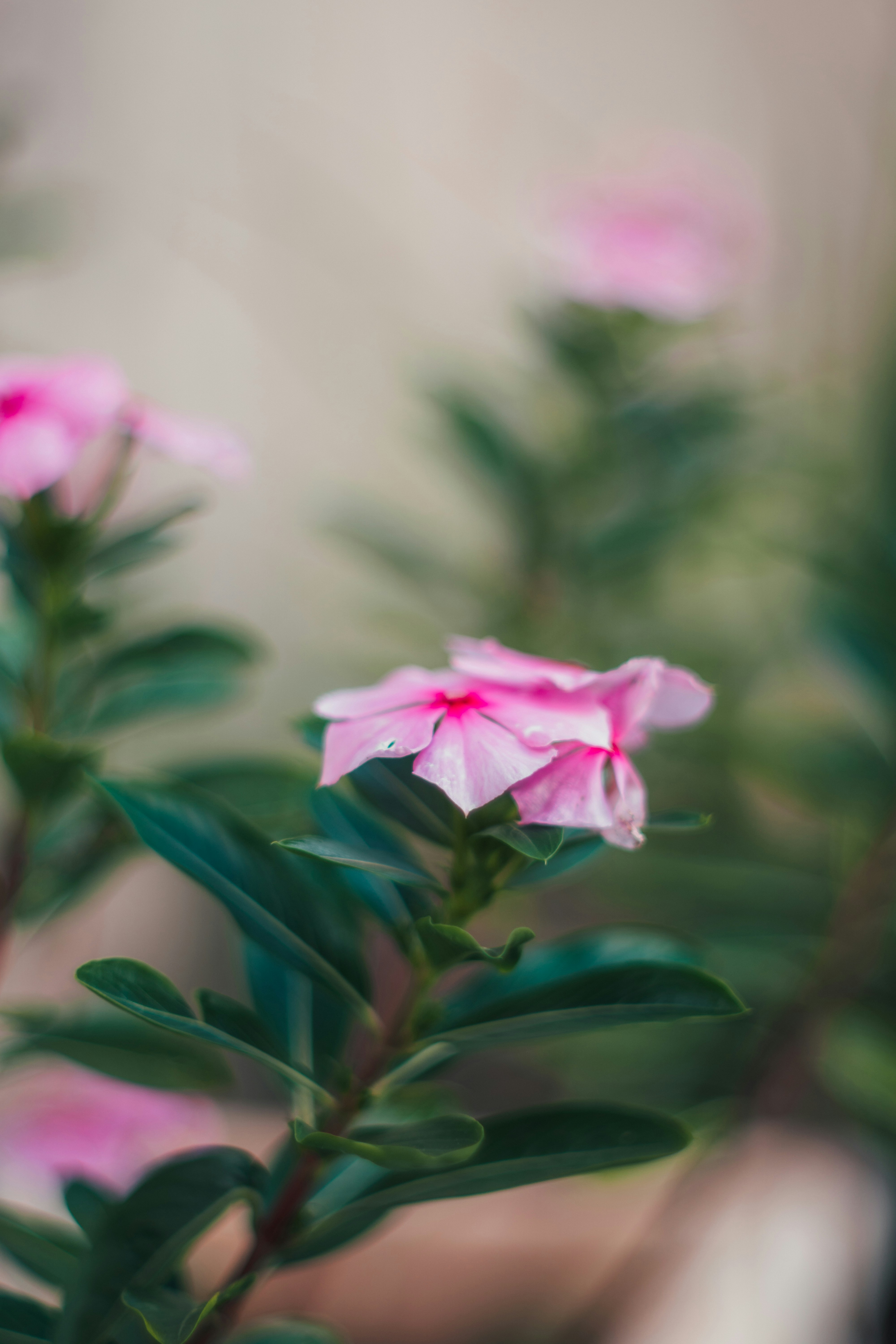 Photo by matheusmkohler