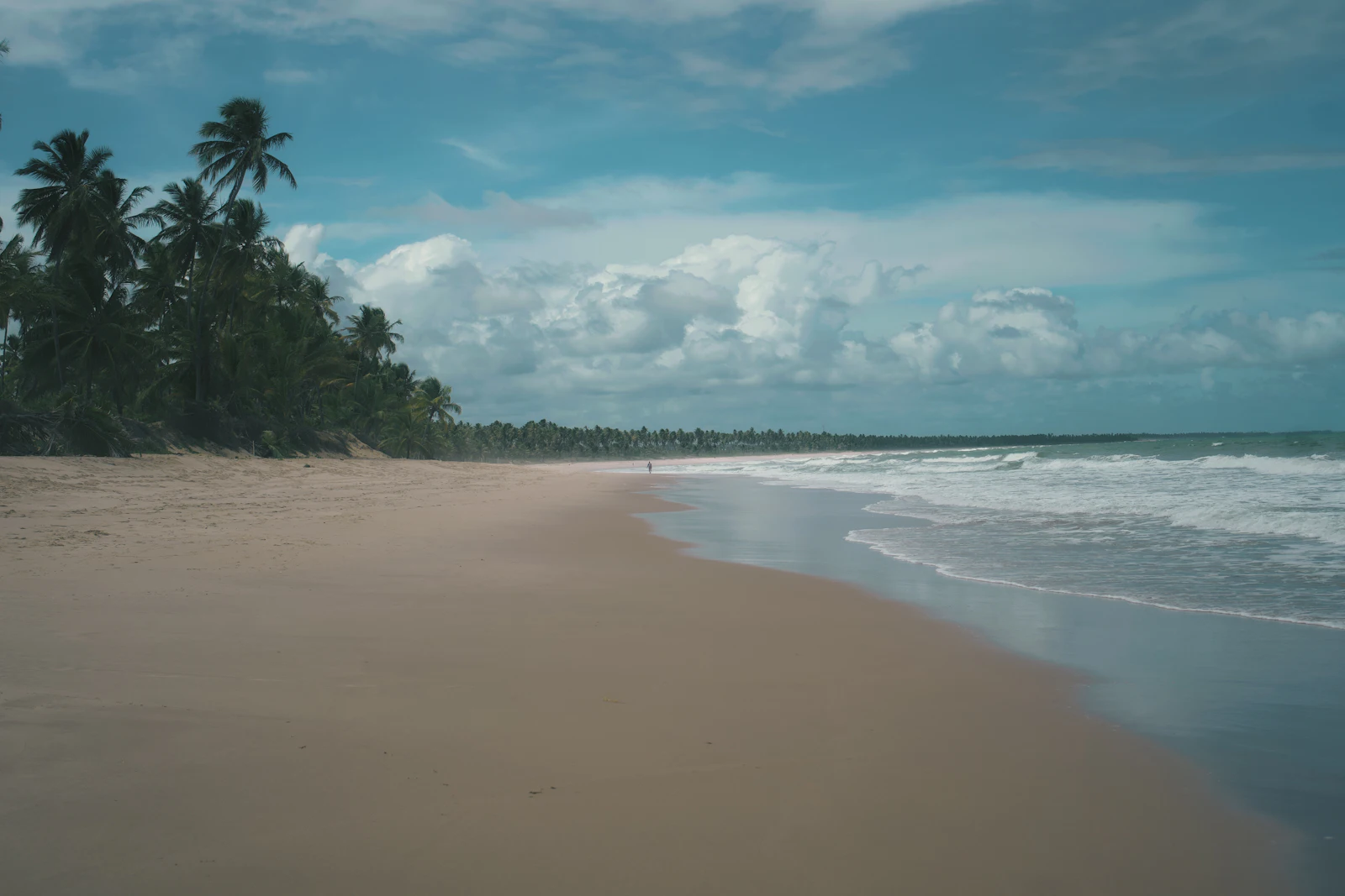 Praia tropical (foto ilustrativa)