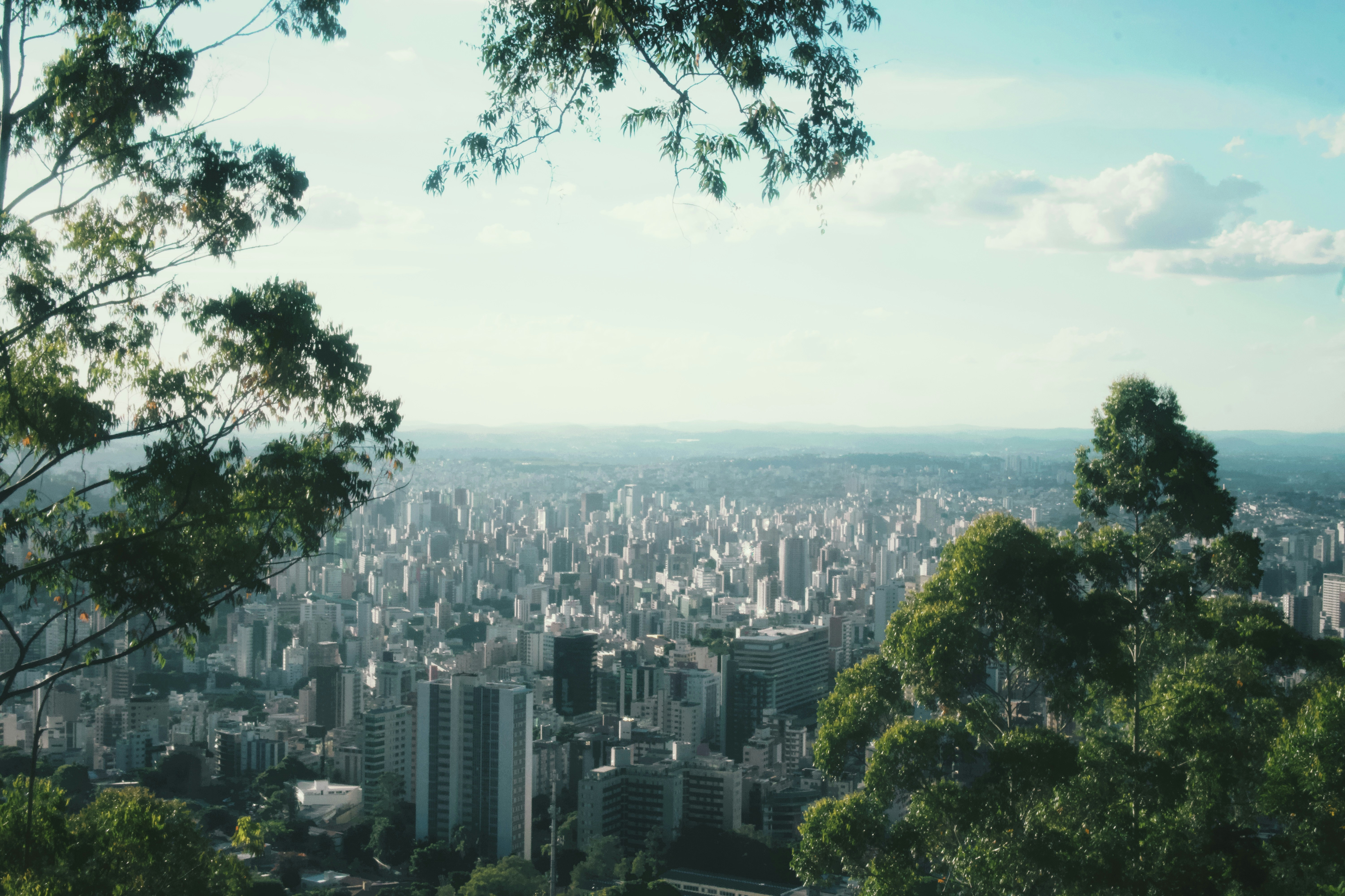 Photo by smiddyburbon