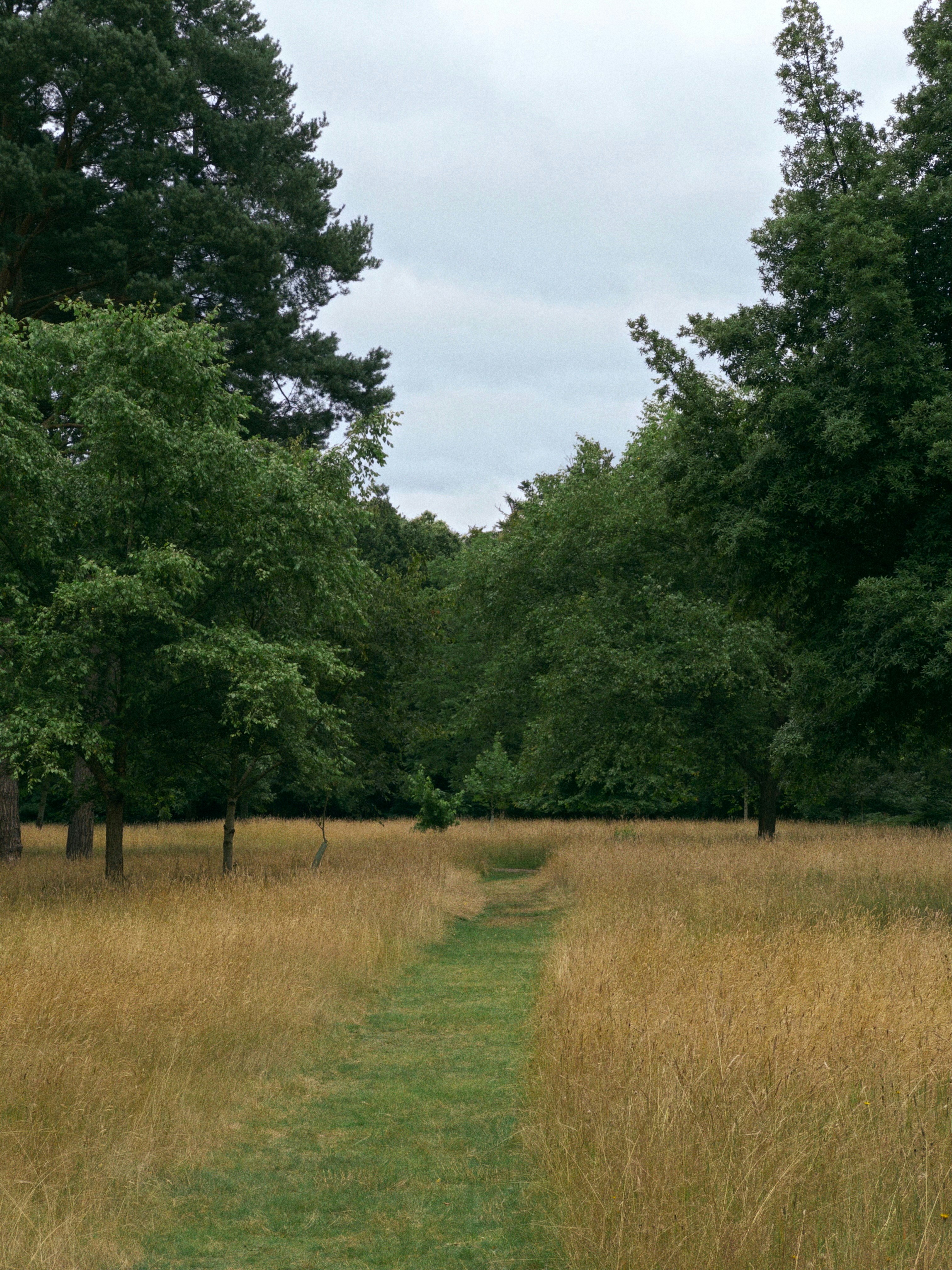 Photo by eugenebokhan