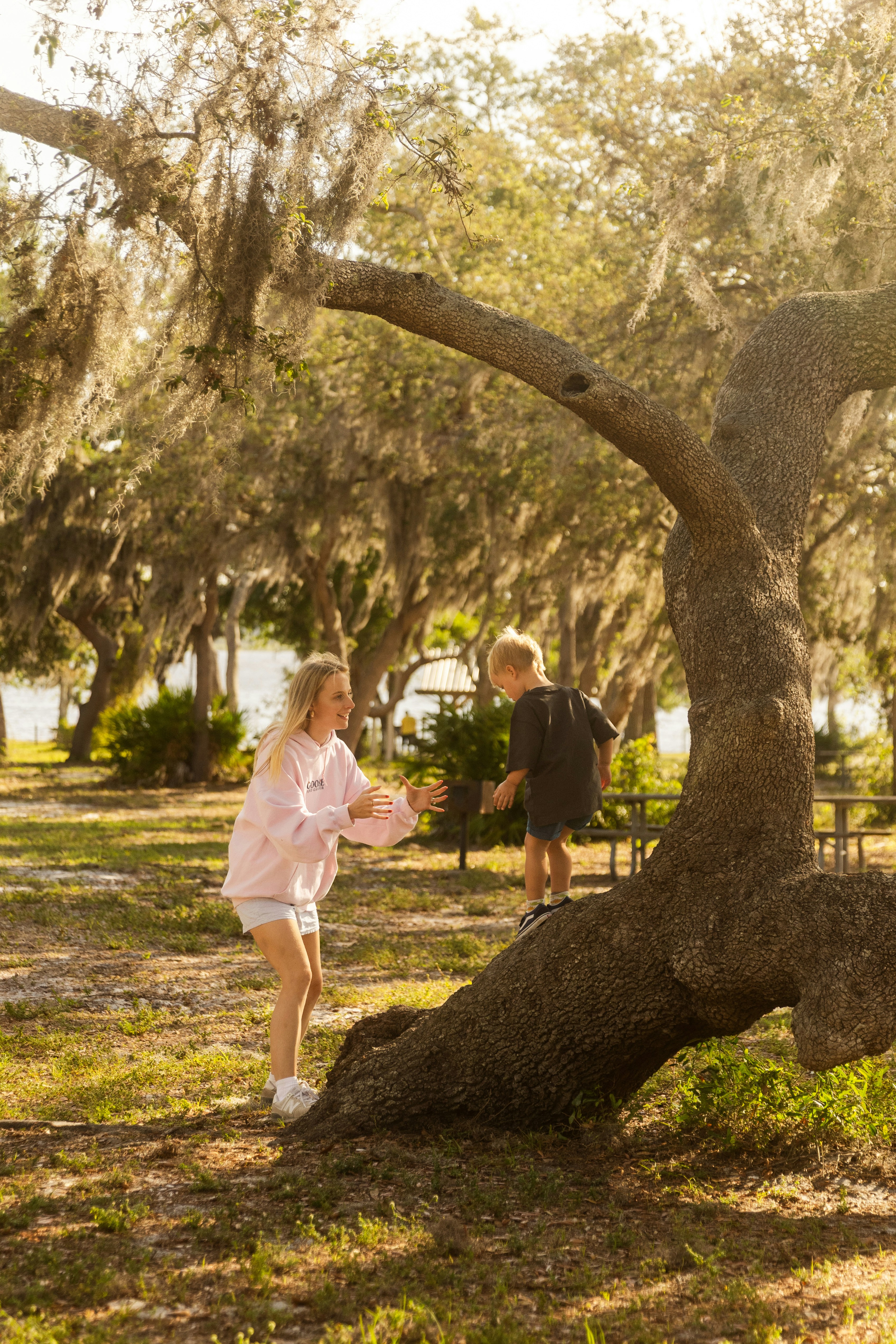 Mother helps child climb a tree.