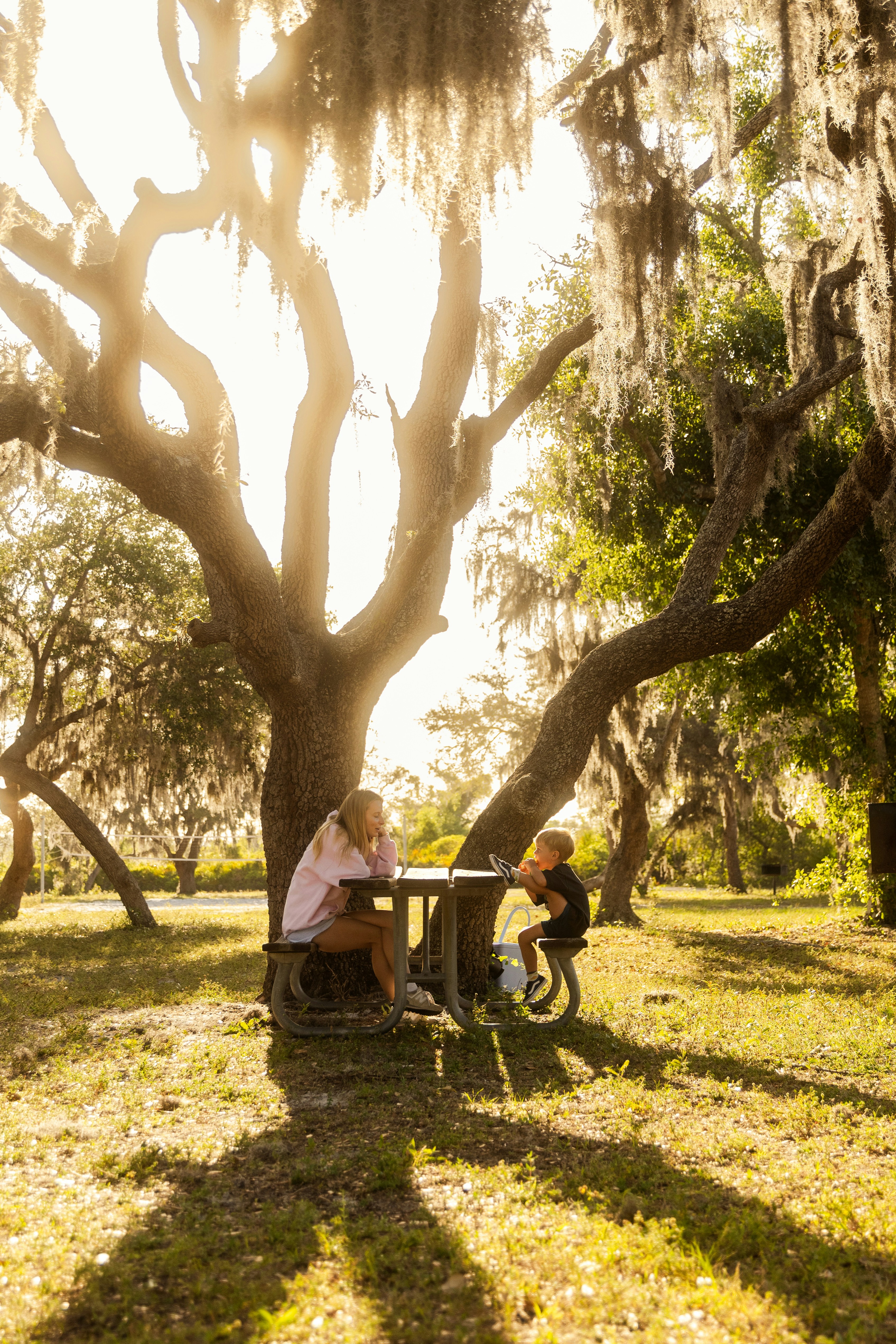 Woman and child have lunch under a tree.