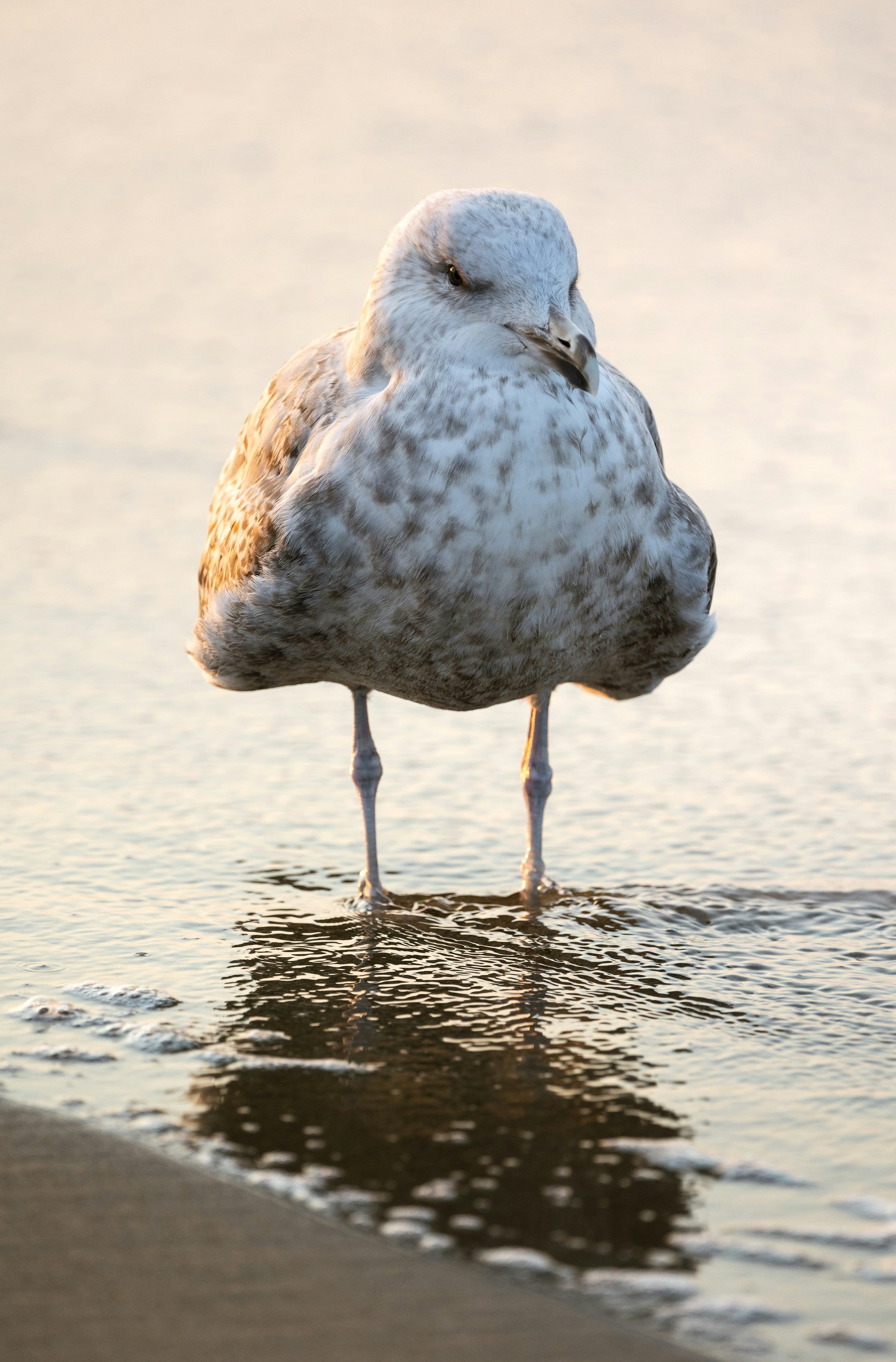 Photo by marekpiwnicki