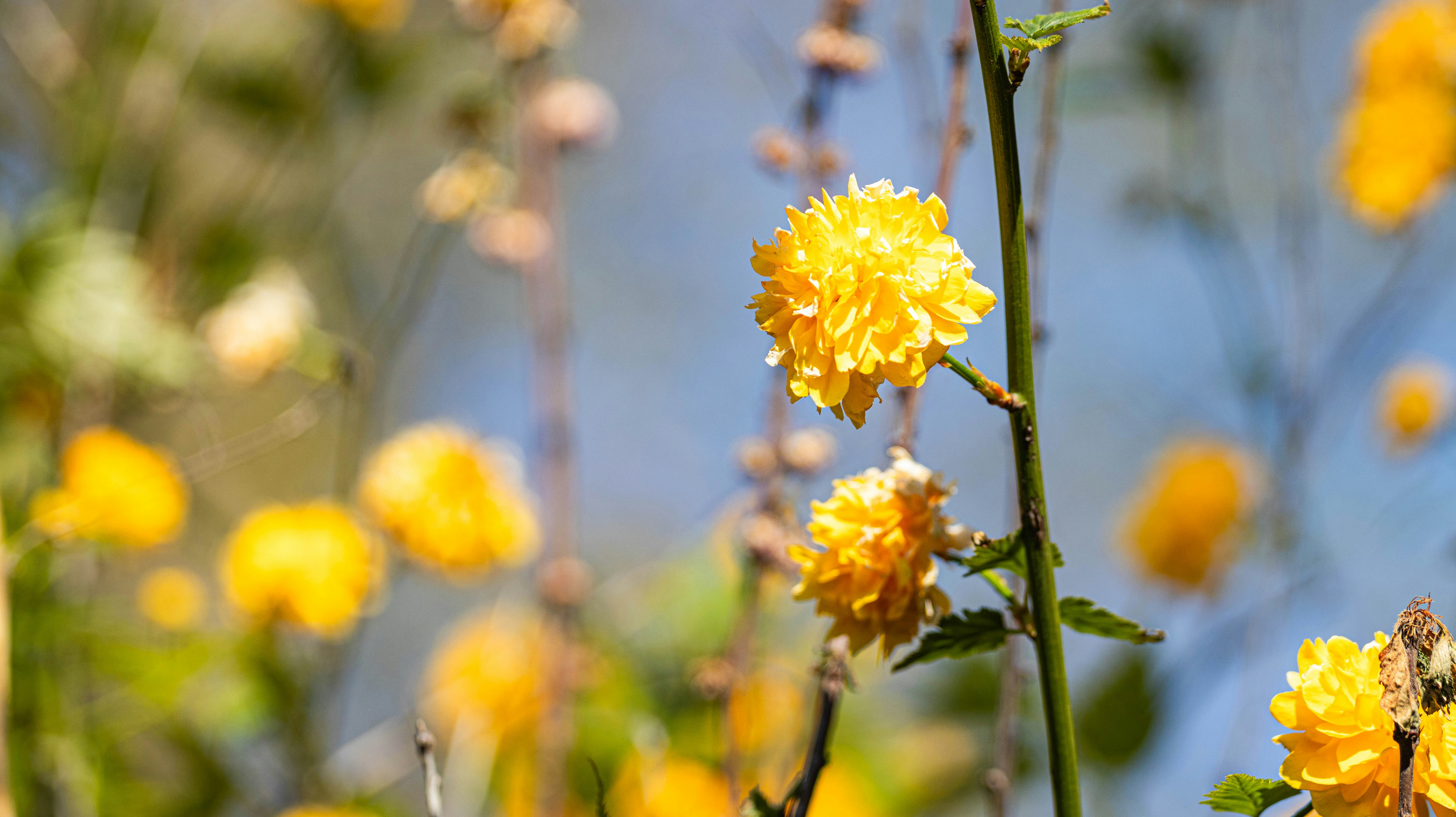 Photo by element1917