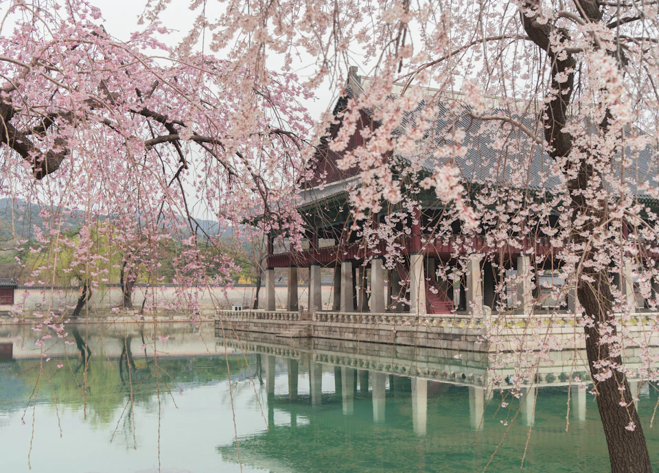 Seoul in Spring
